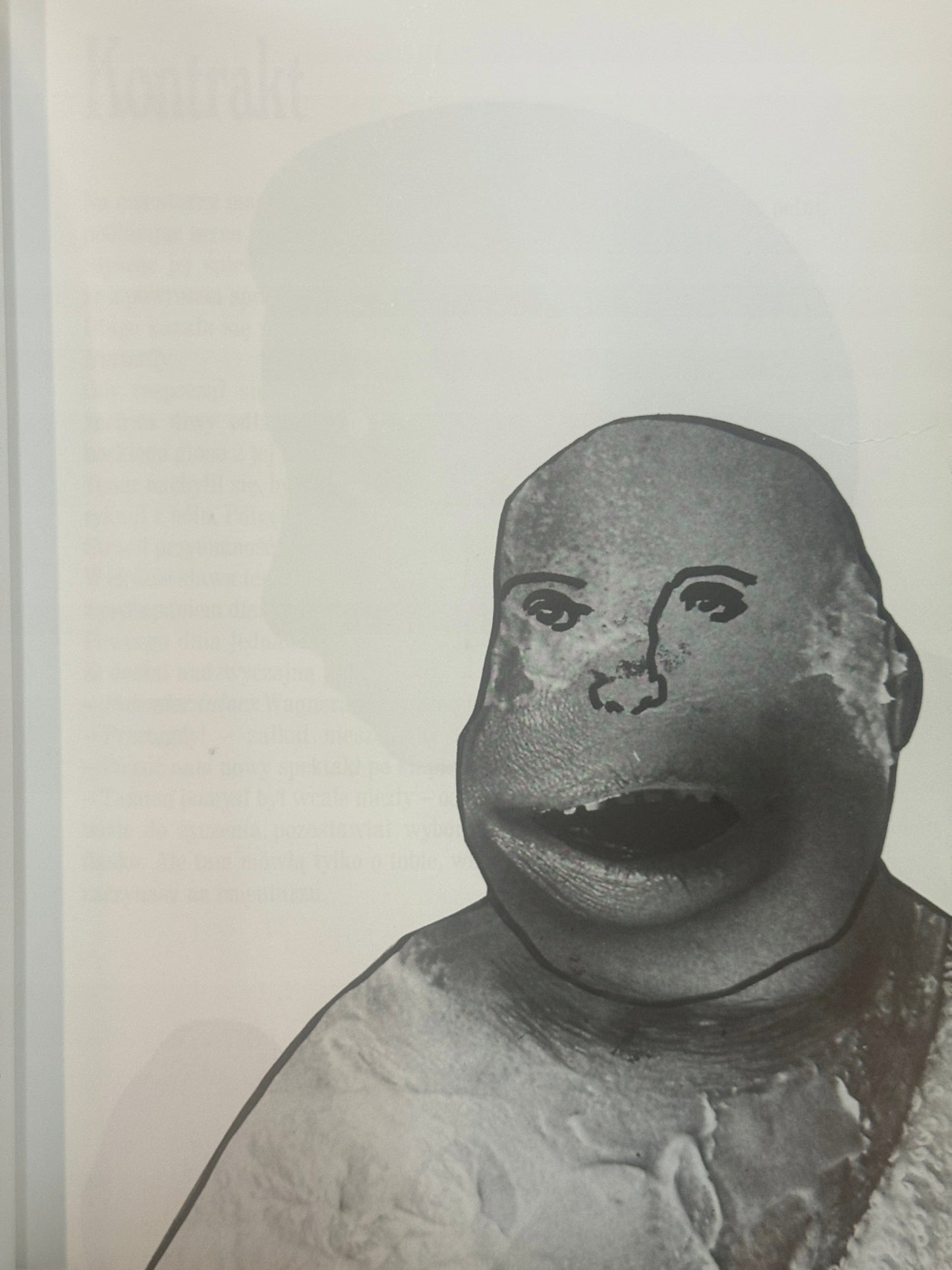Made in Taiwan, Copyright in Mexico Roland Topor