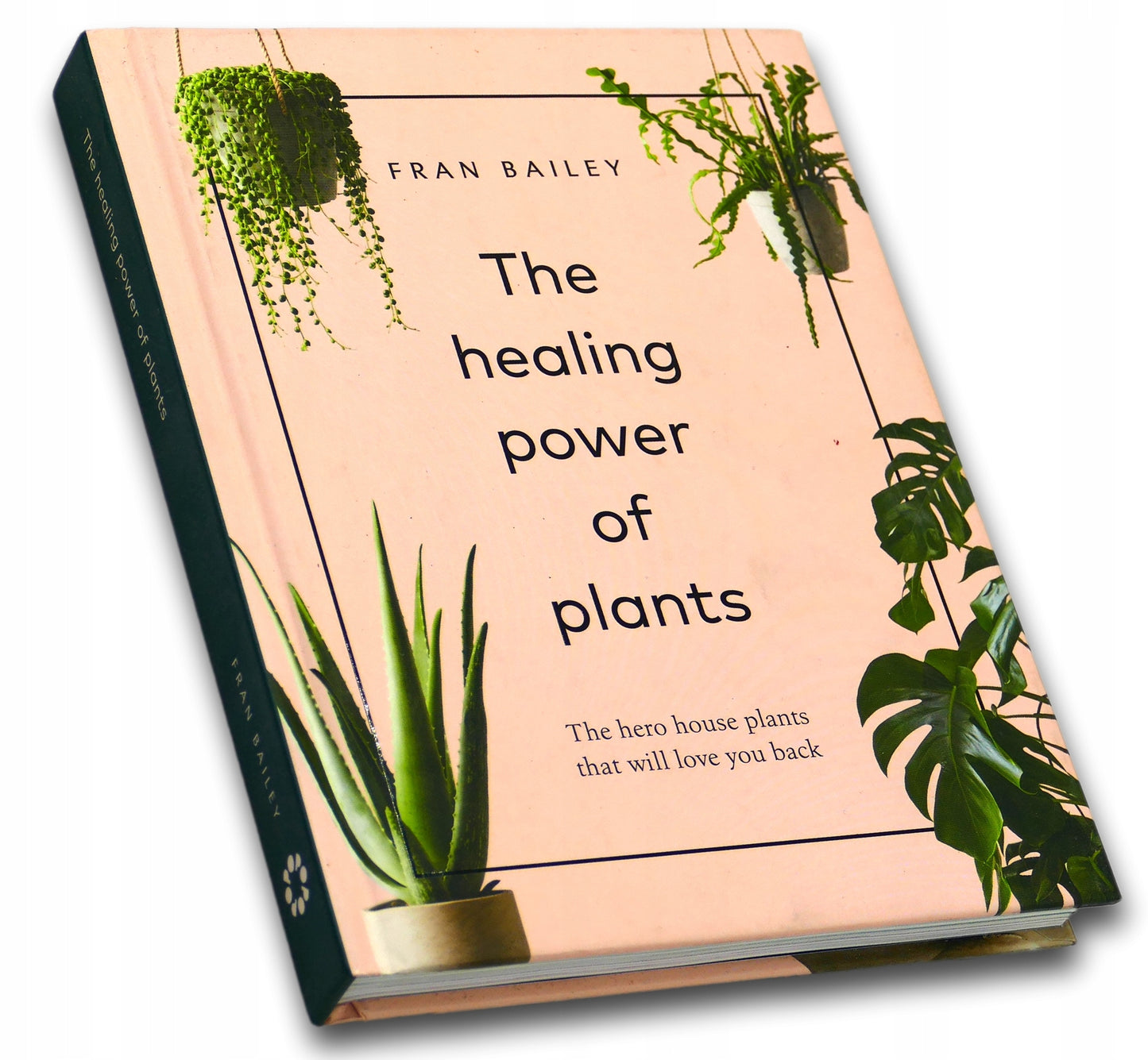 The Healing Power of Plants: The Hero House Plants that Love You Back