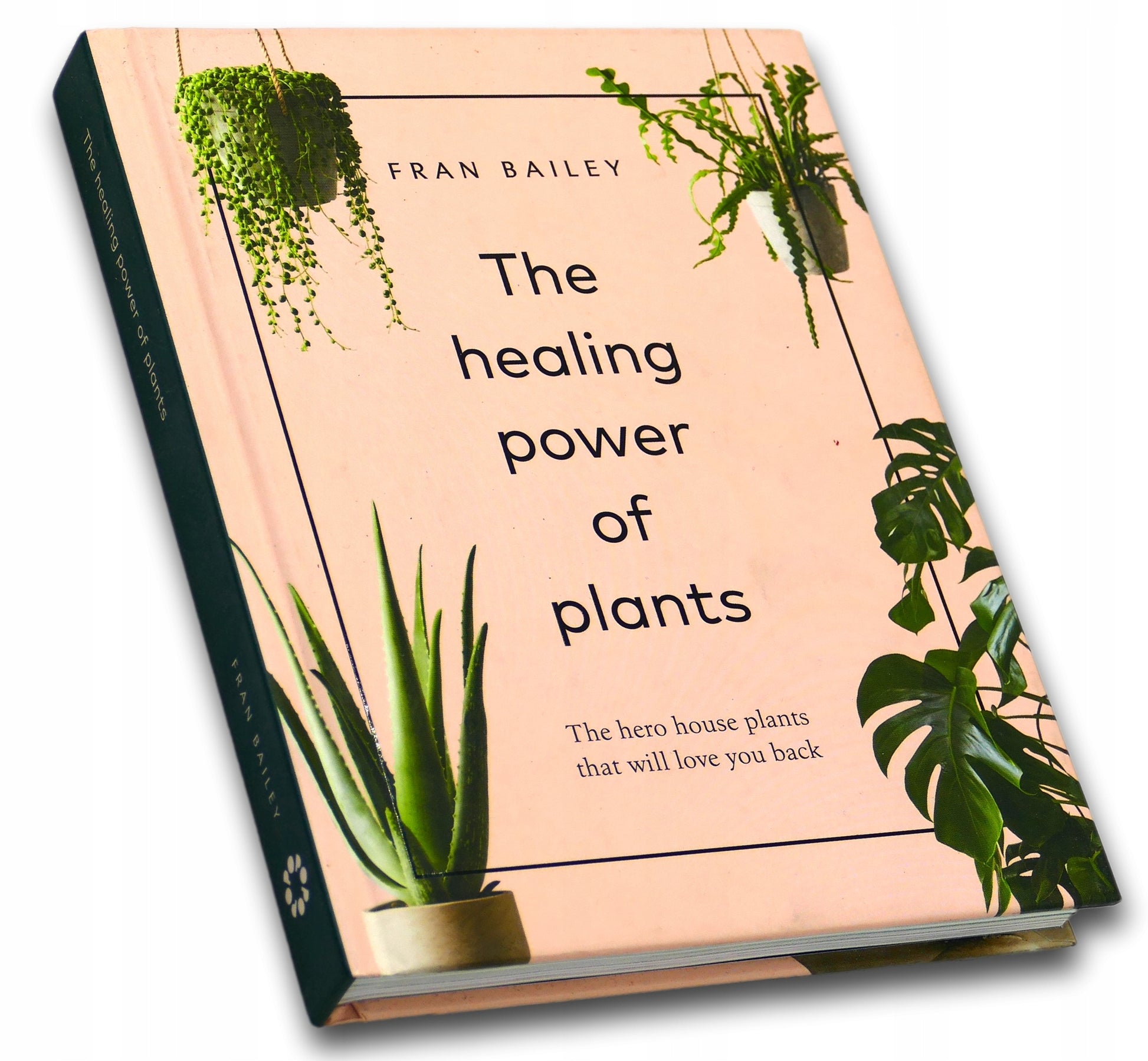 The Healing Power of Plants: The Hero House Plants that Love You Back