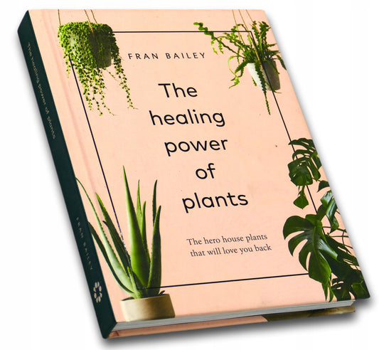 The Healing Power of Plants: The Hero House Plants that Love You Back