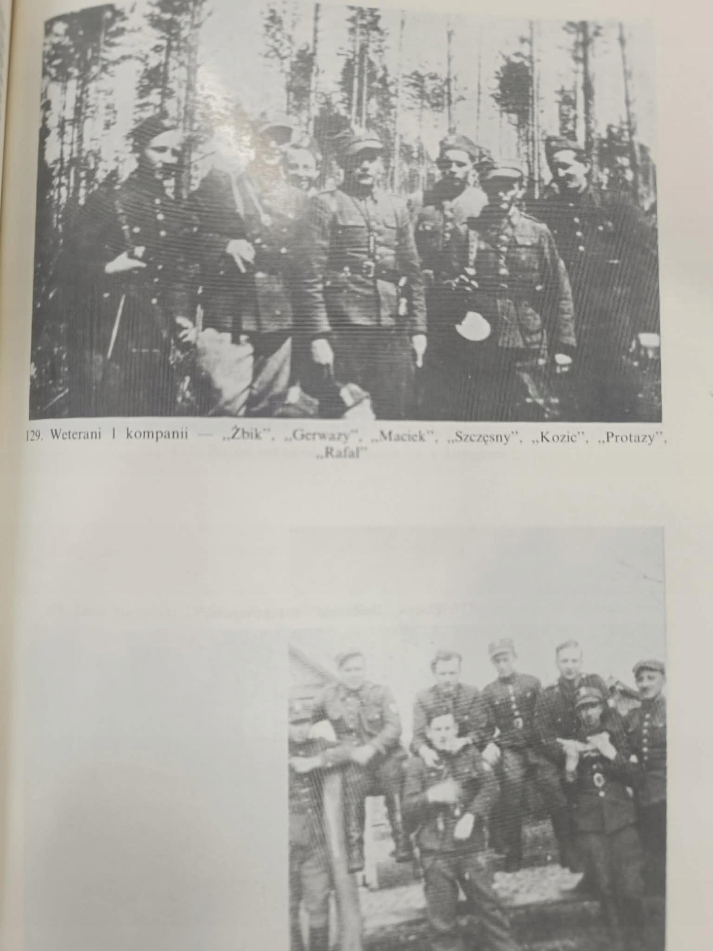 Kazimierz Krajewski, Uderzeniowe Bataliony Kadrowe 1942 - 1944