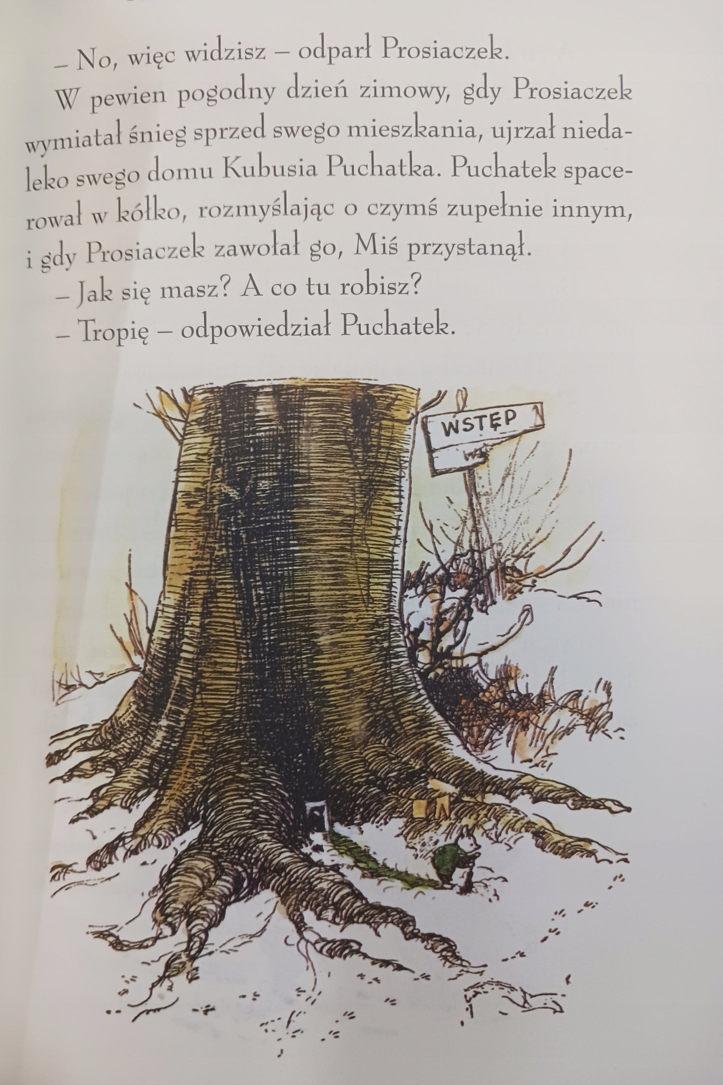 Kubuś Puchatek Kolekcja A. A. Milne