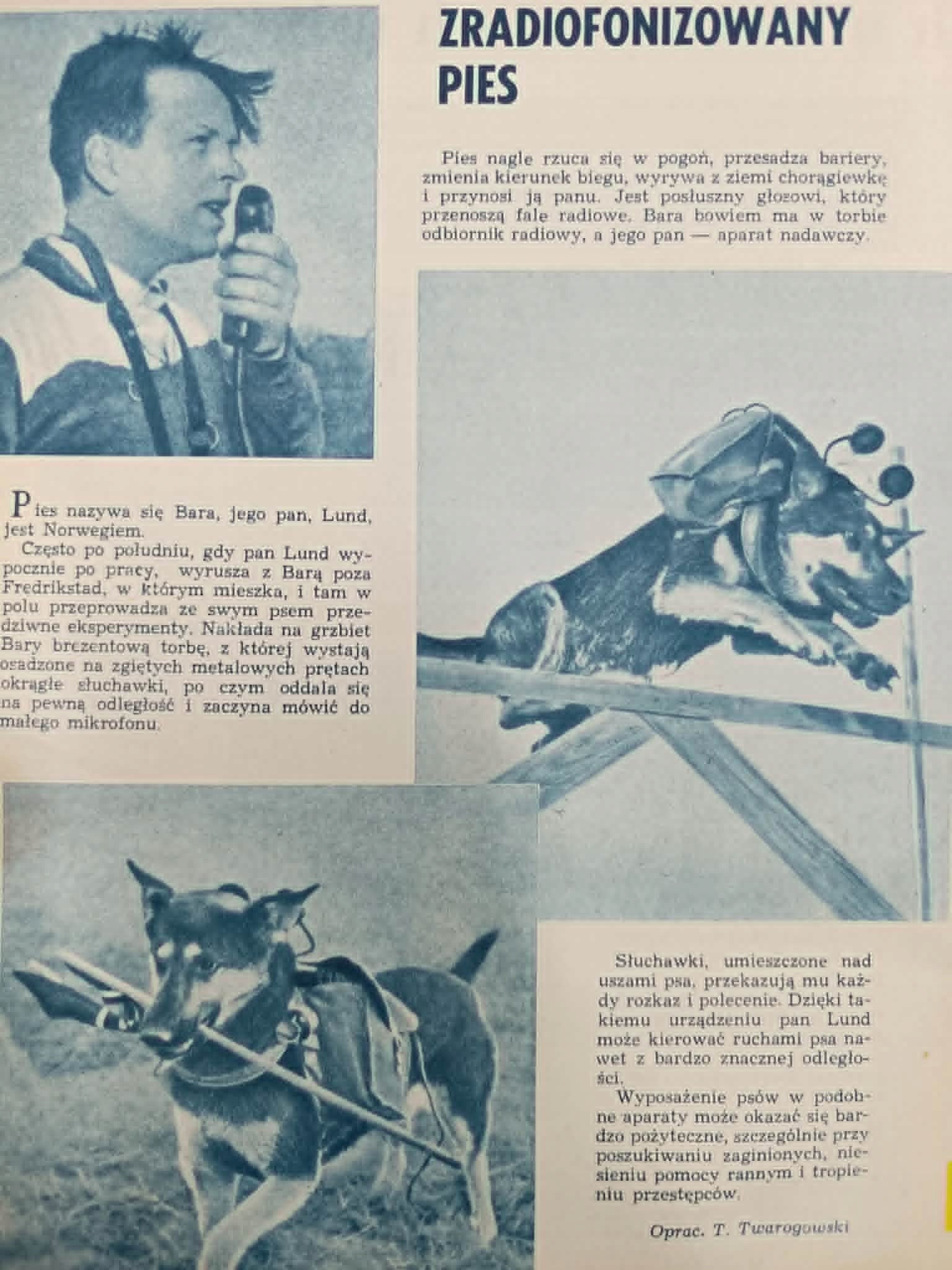 Płomyk, przyjaciel młodzieży 15-30. IX 1958-1959 r. Nr. 2-16 Rok 42