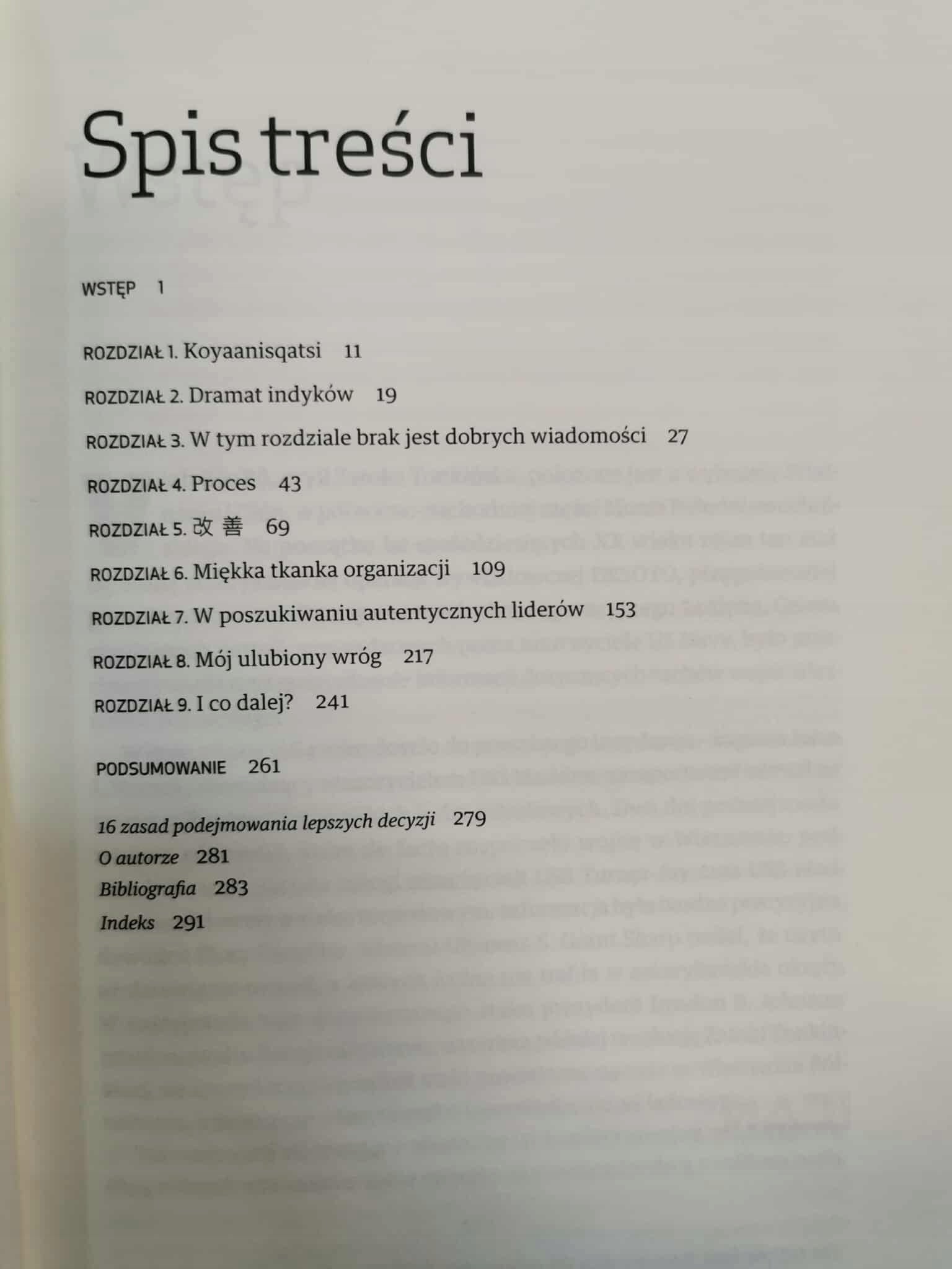 Labirynt Sztuka podejmowania decyzji, Paweł Motyl