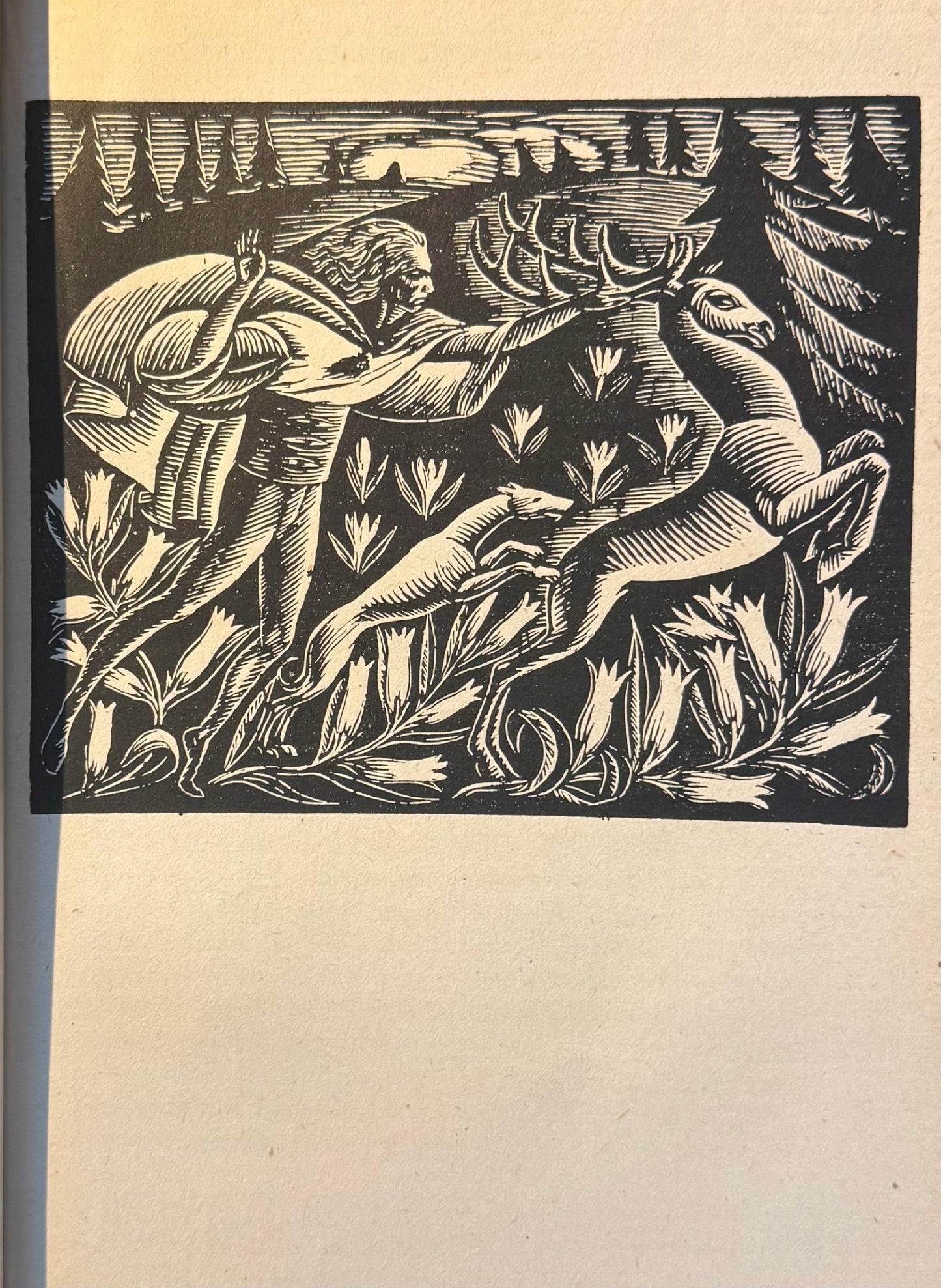 07358700d92b761cf5c64d9dda614747