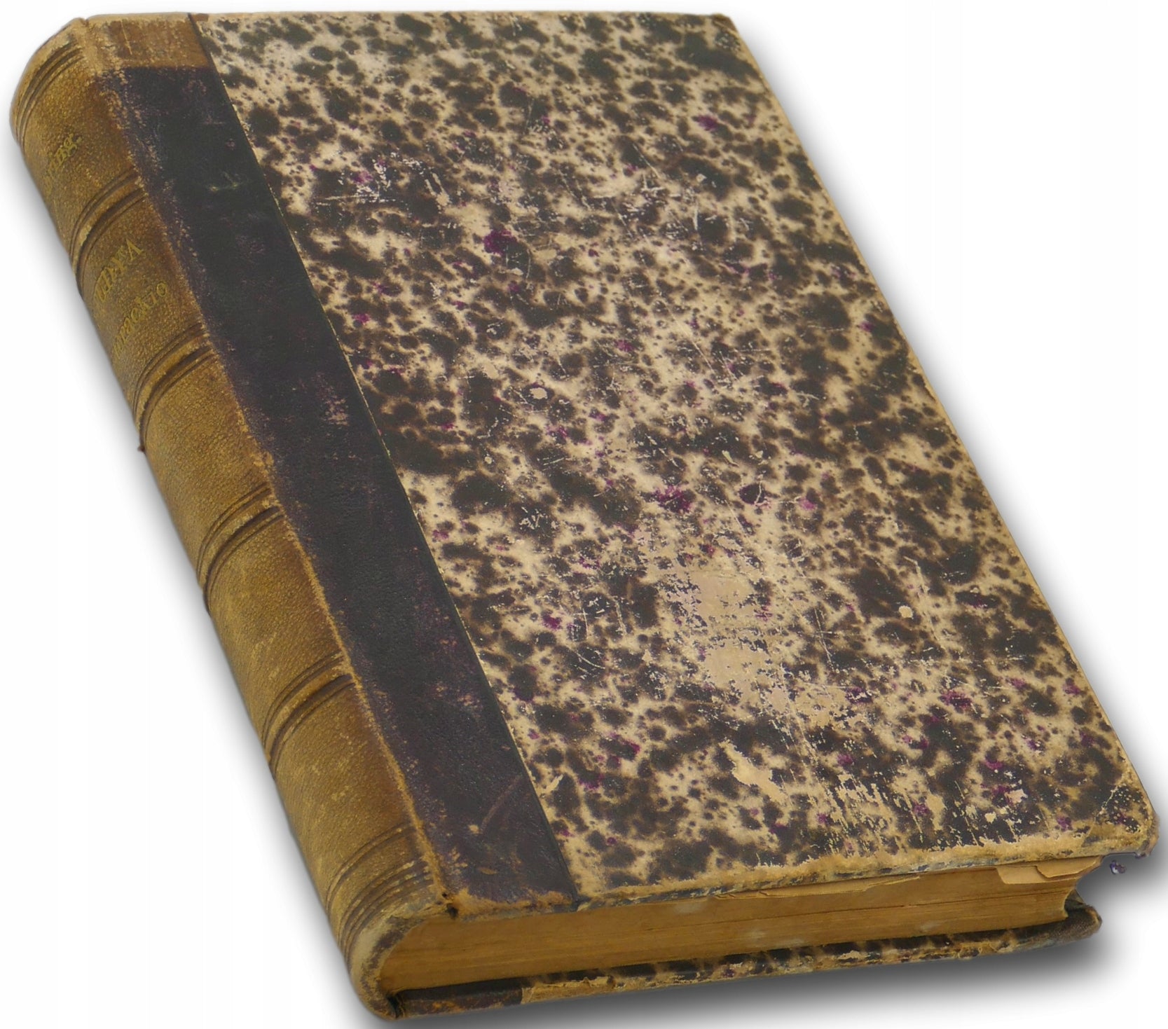 Studya literackie, Wł. Nehring [Poznań 1884]