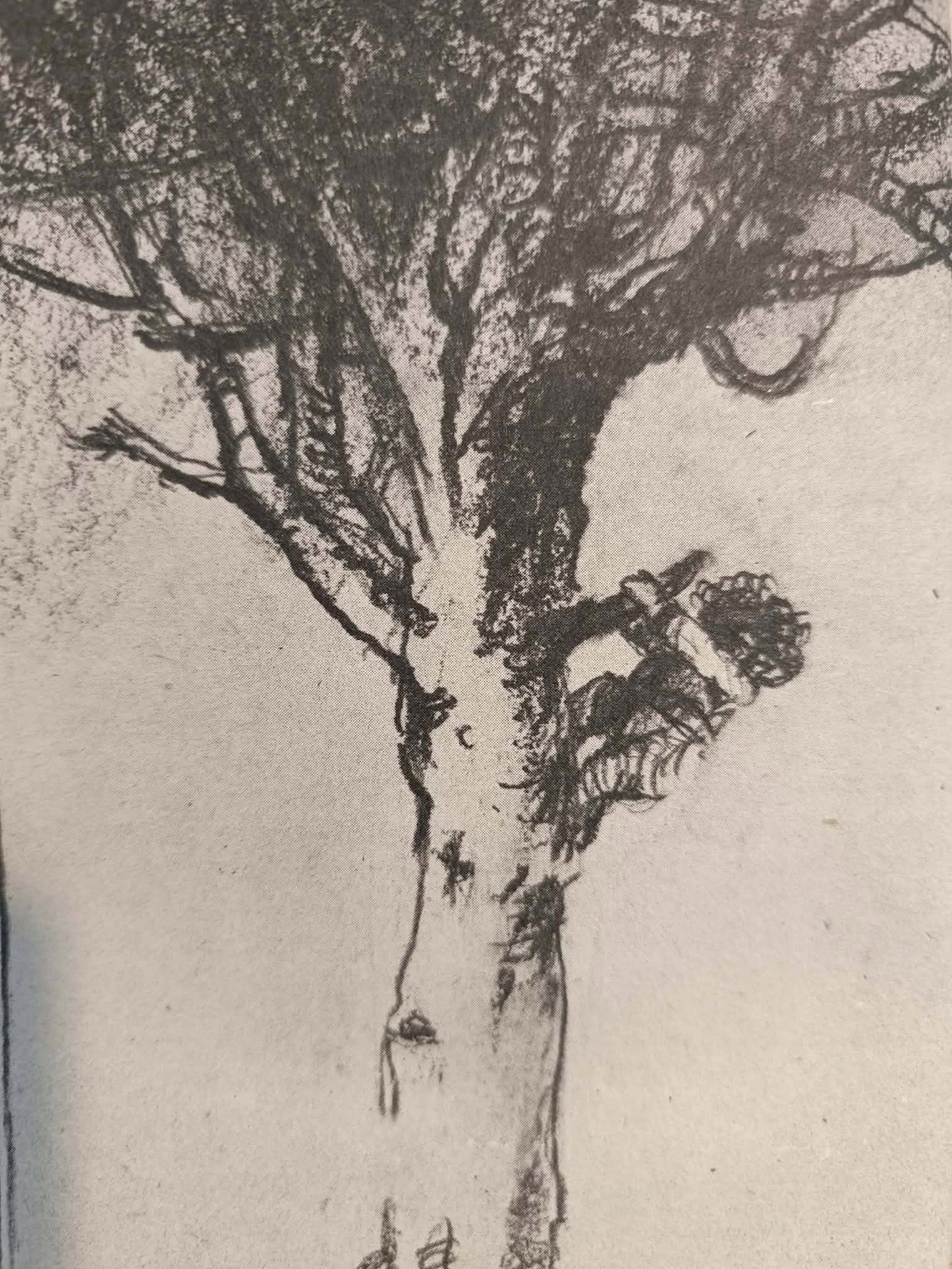 Hobbit, czyli tam i z powrotem, JRR Tolkien [oprac. graf. Maciej Buszewicz]