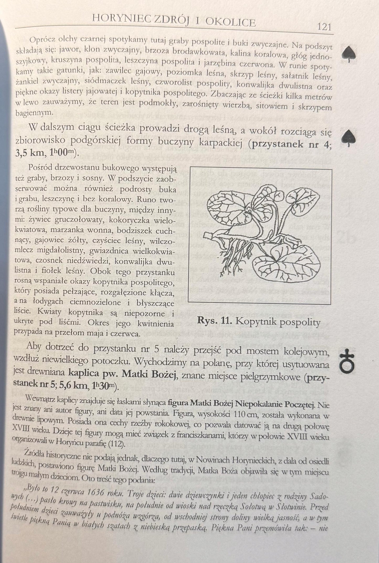 Roztocze Wschodnie Paweł Wład, Marek Wiśniewski [dedykacja odautorska]