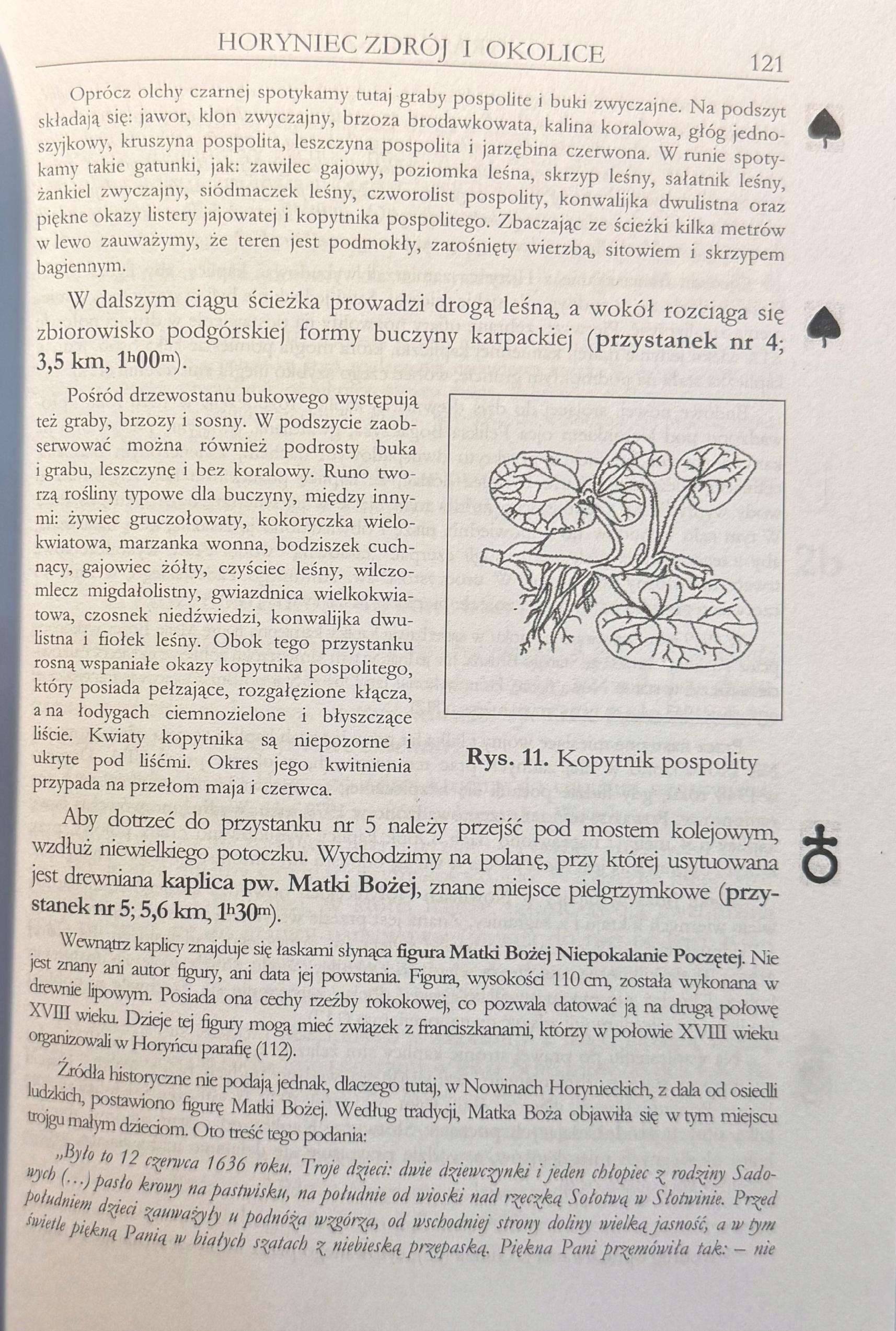 Roztocze Wschodnie Paweł Wład, Marek Wiśniewski [dedykacja odautorska]