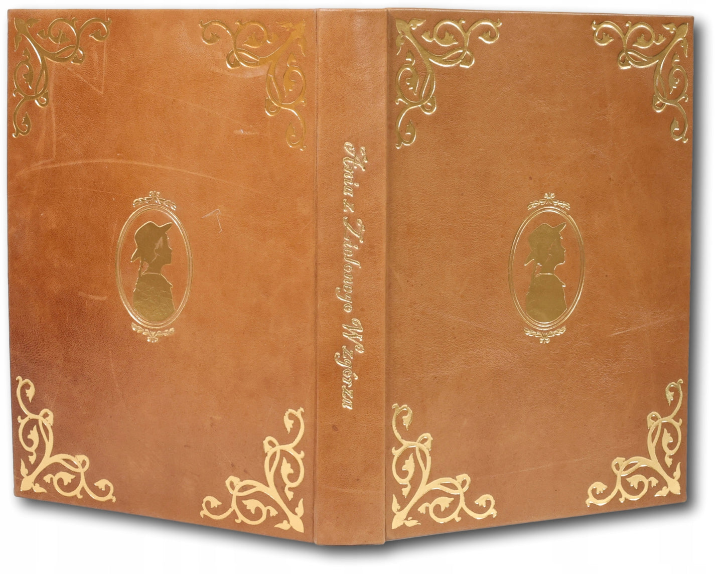 Ania z Zielonego Wzgórza, Lucy Maud Montgomery [książka na prezent]