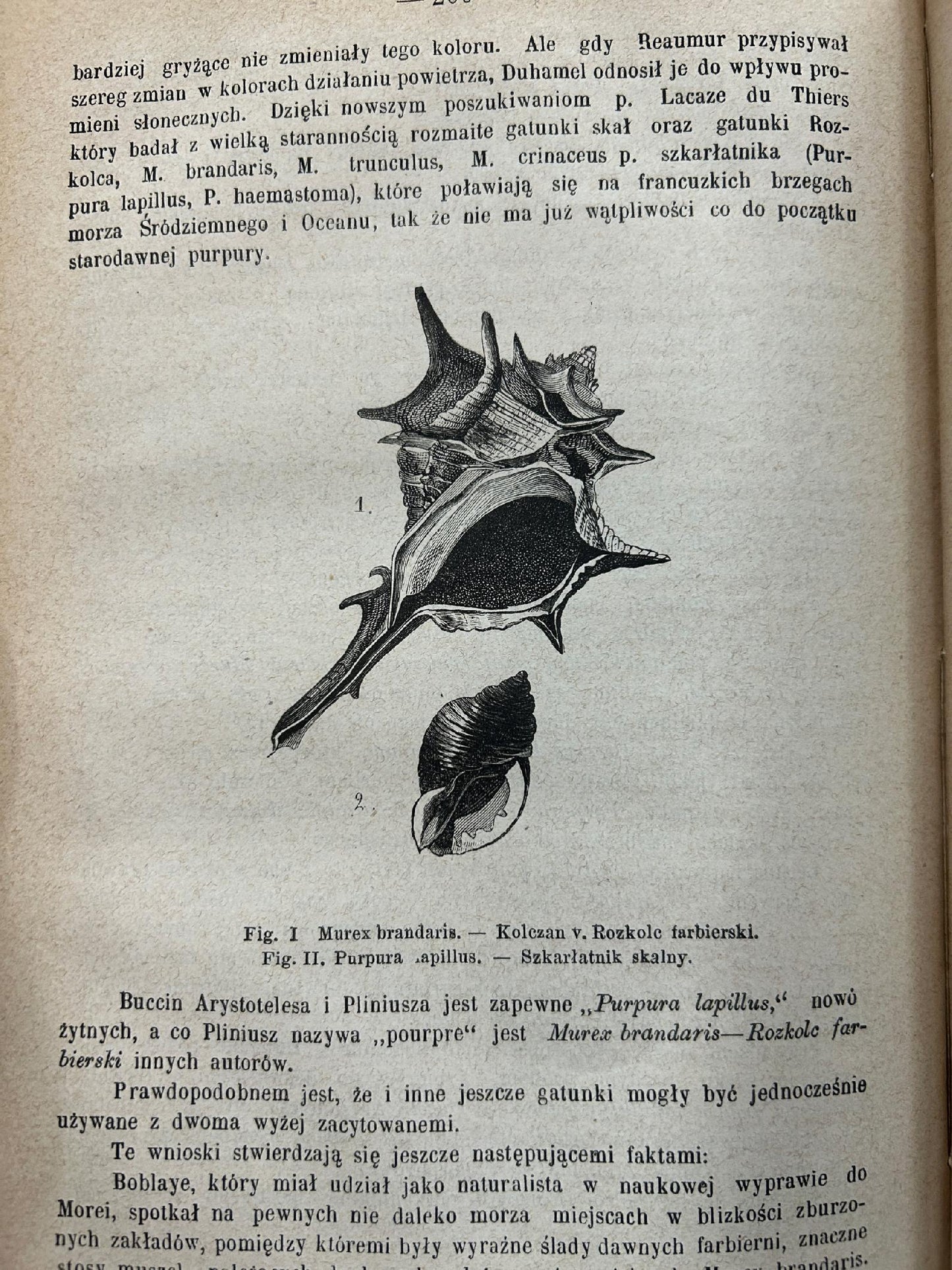 Wiadomości farmaceutyczne pod redakcją Jana Mrozowskiego Tom VI [1880 r.]