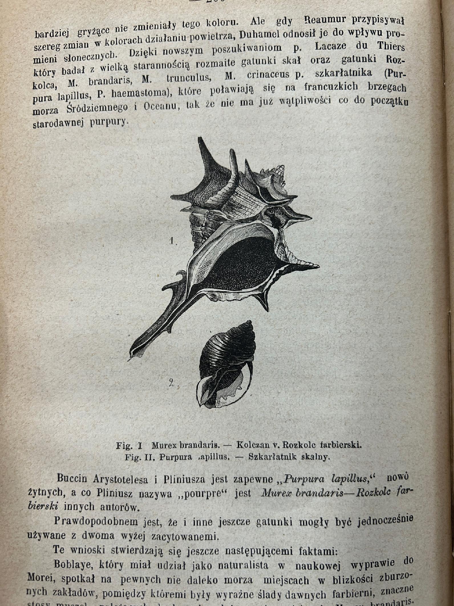 Wiadomości farmaceutyczne pod redakcją Jana Mrozowskiego Tom VI [1880 r.]