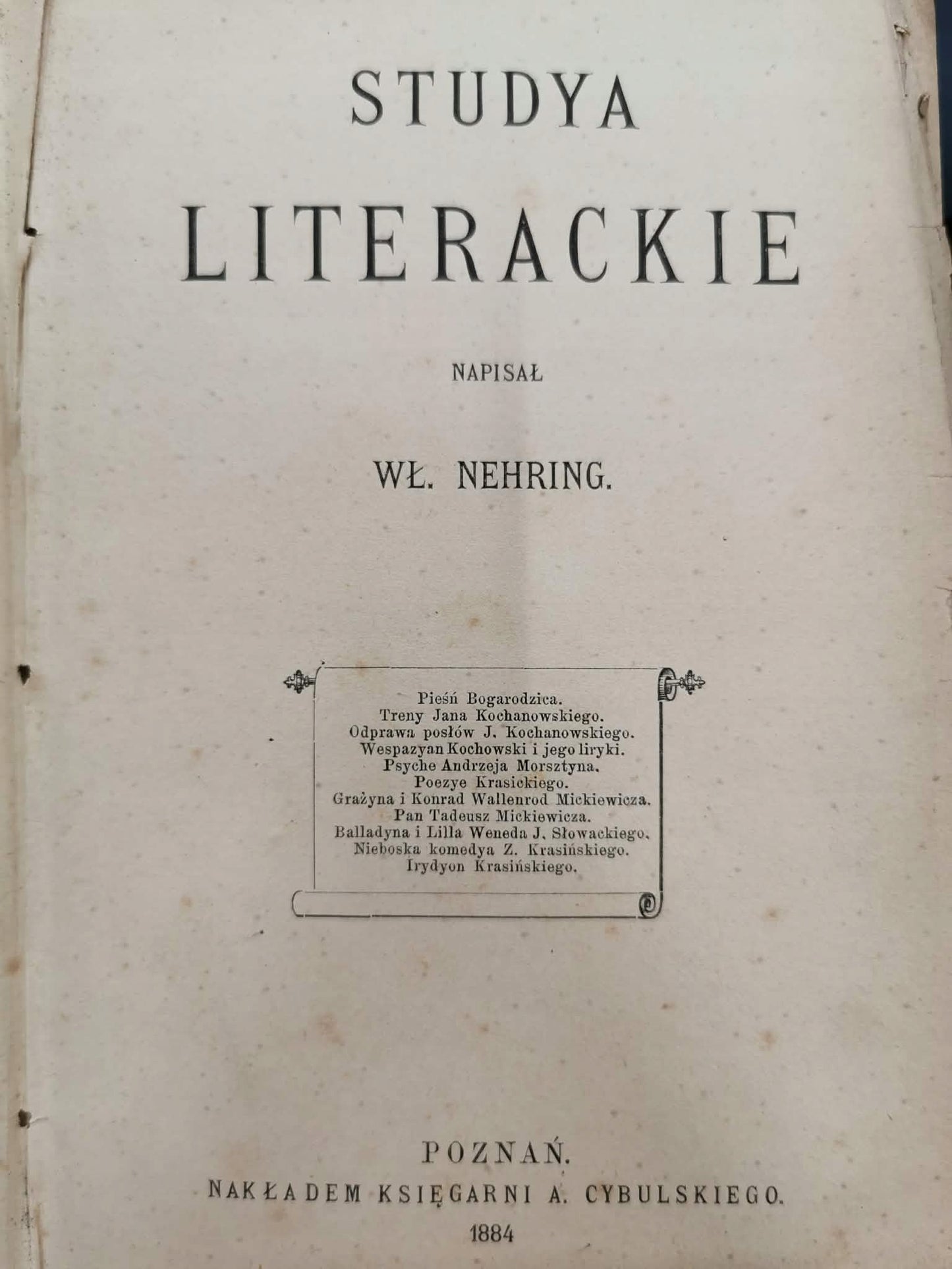 Studya literackie, Wł. Nehring [Poznań 1884]