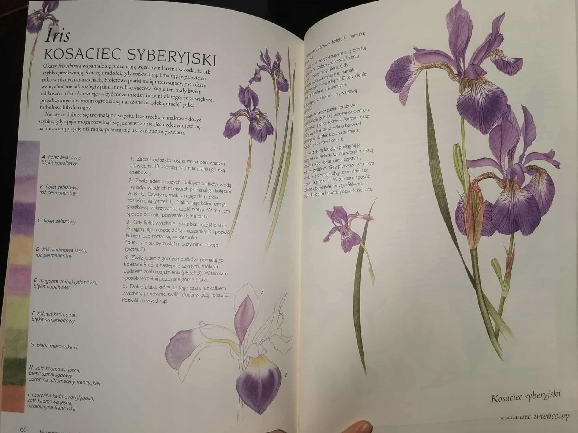 915c0667f9f6ef43519d875427bc56a3