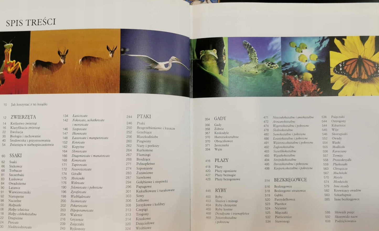 Zwierzęta. Encyklopedia ilustrowana, Praca zbiorowa
