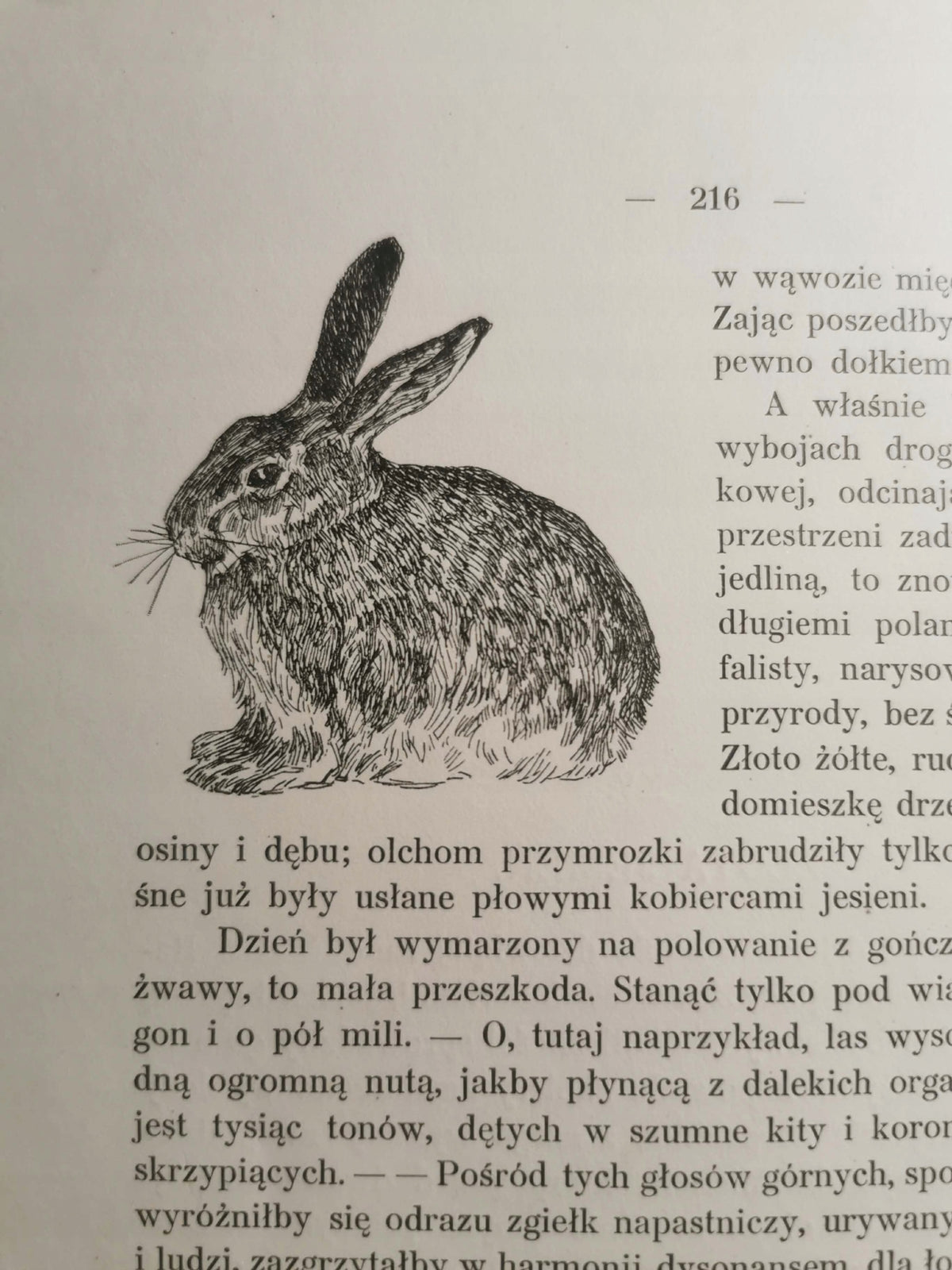 Soból i panna. Cykl myśliwski, J. Weyssenhoff [1913]