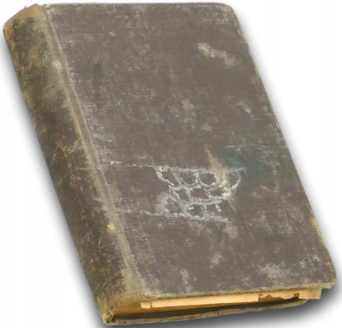 Jedyne praktyczne przepisy konfitur...- Lucyna Ćwiartkiewiczowa [1891 r.]