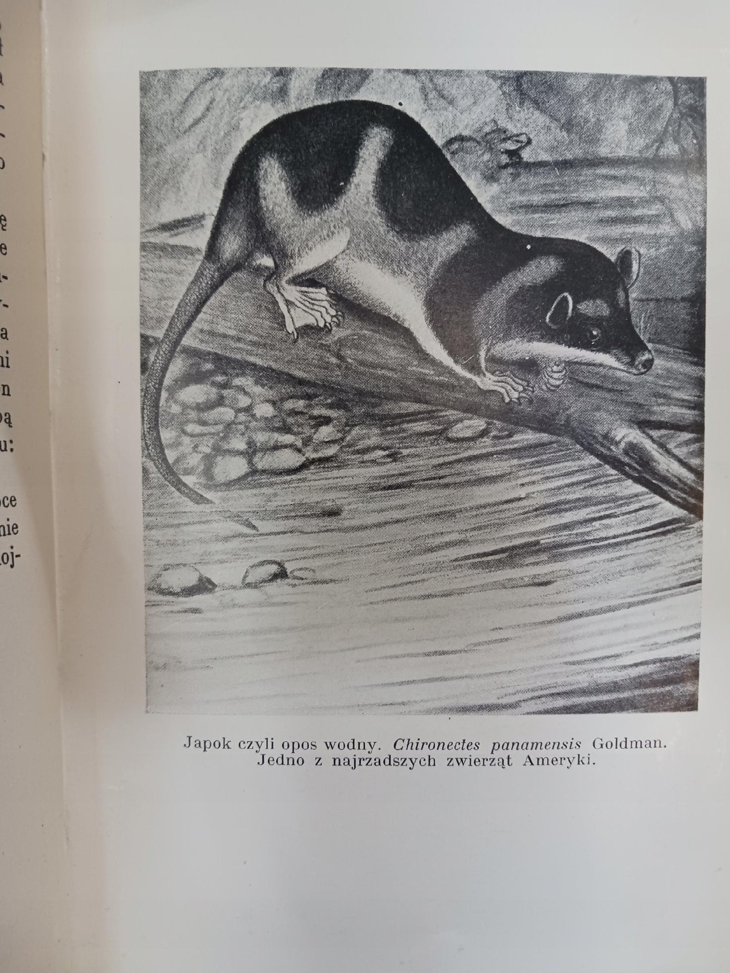 Galapagos na krańcach świata William Beebe [wydanie z roku 1938]