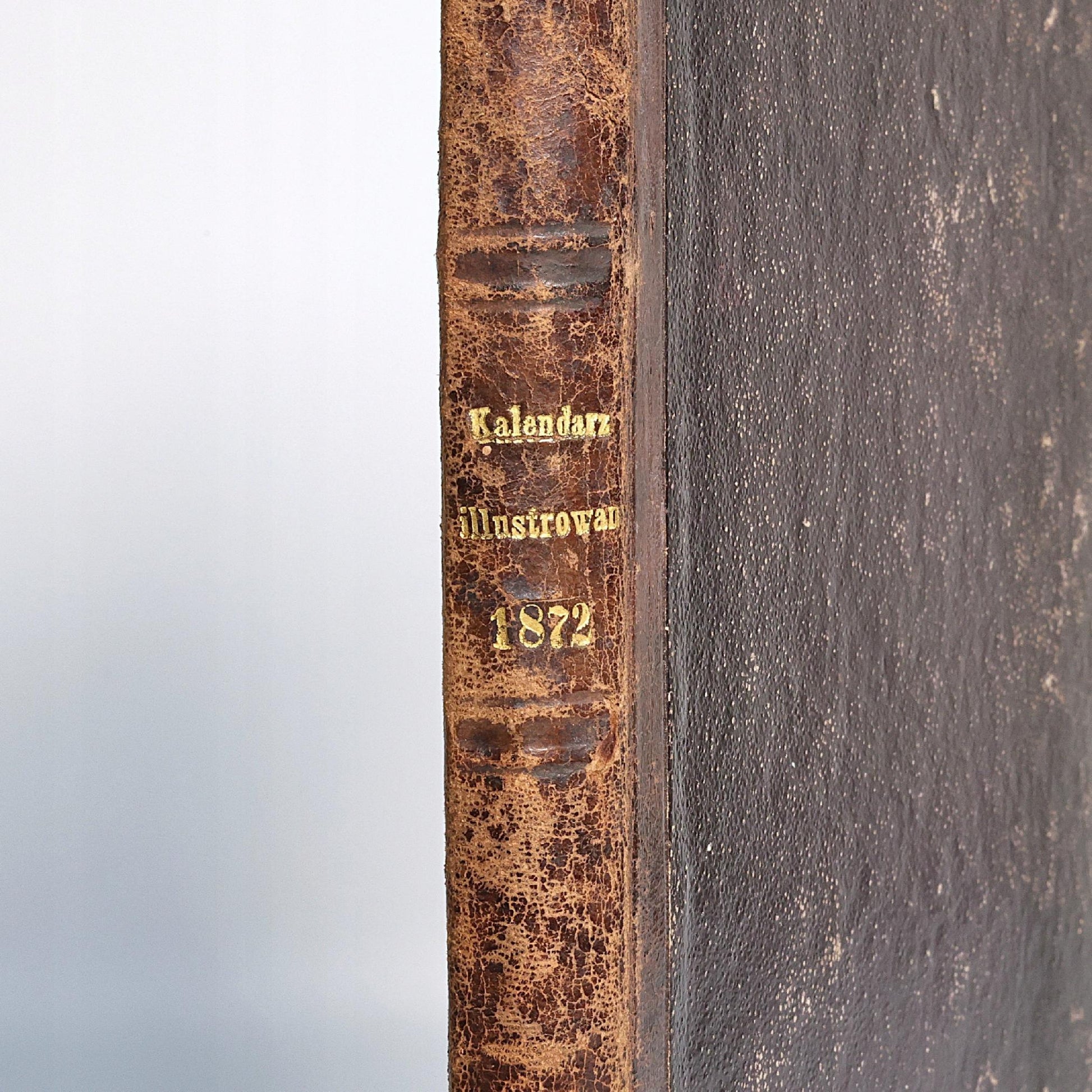 J. Jaworskiego kalendarz ilustrowany na rok przestępny 1872 [Warszawa 1871]