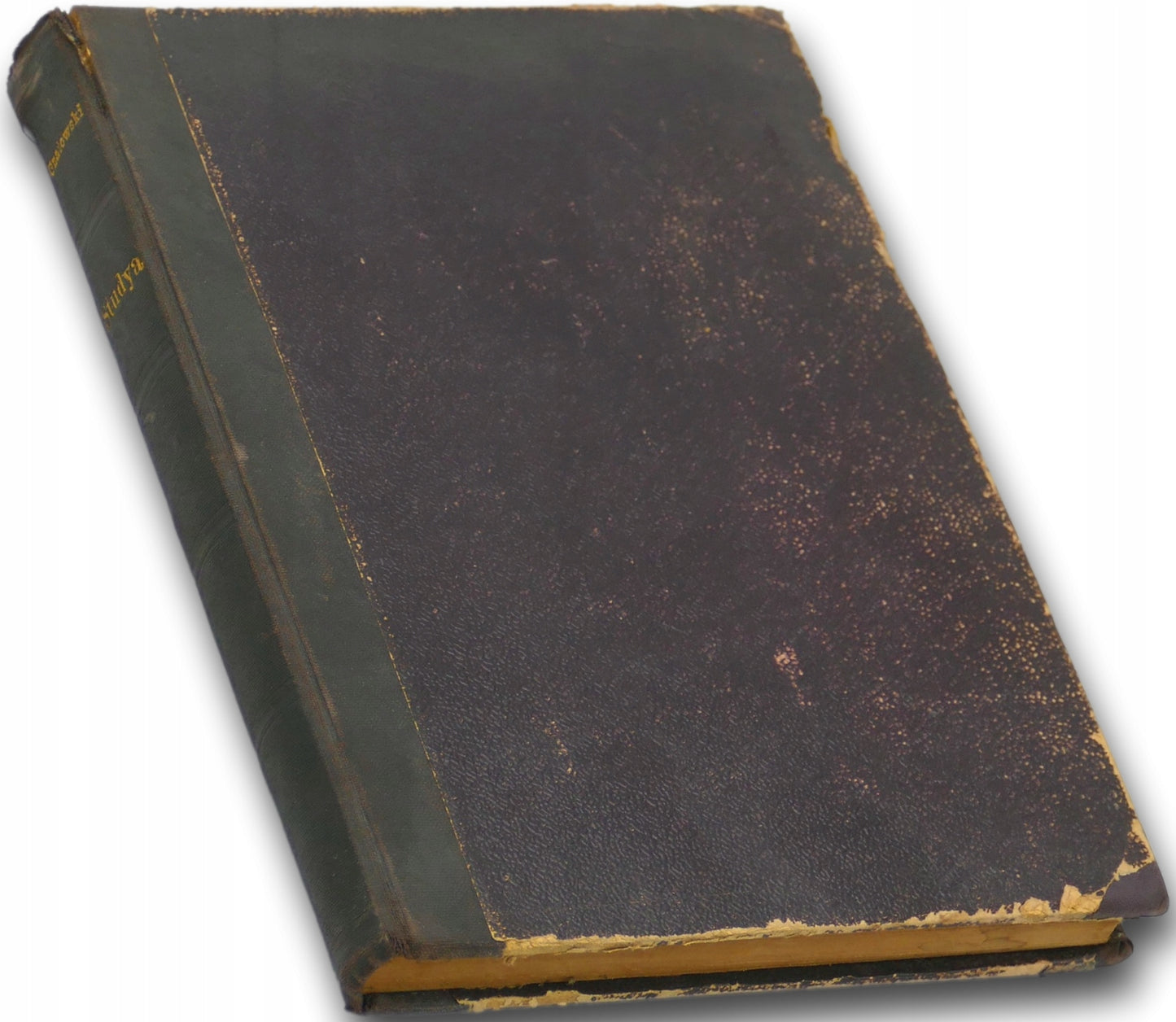 Studya - X. Jan Gnatowski [1896 r.]