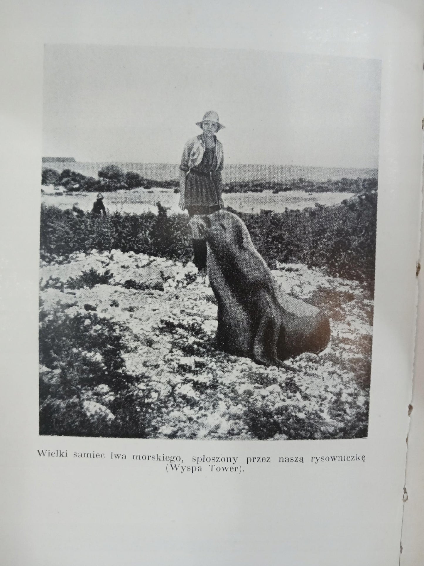 Galapagos na krańcach świata William Beebe [wydanie z roku 1938]