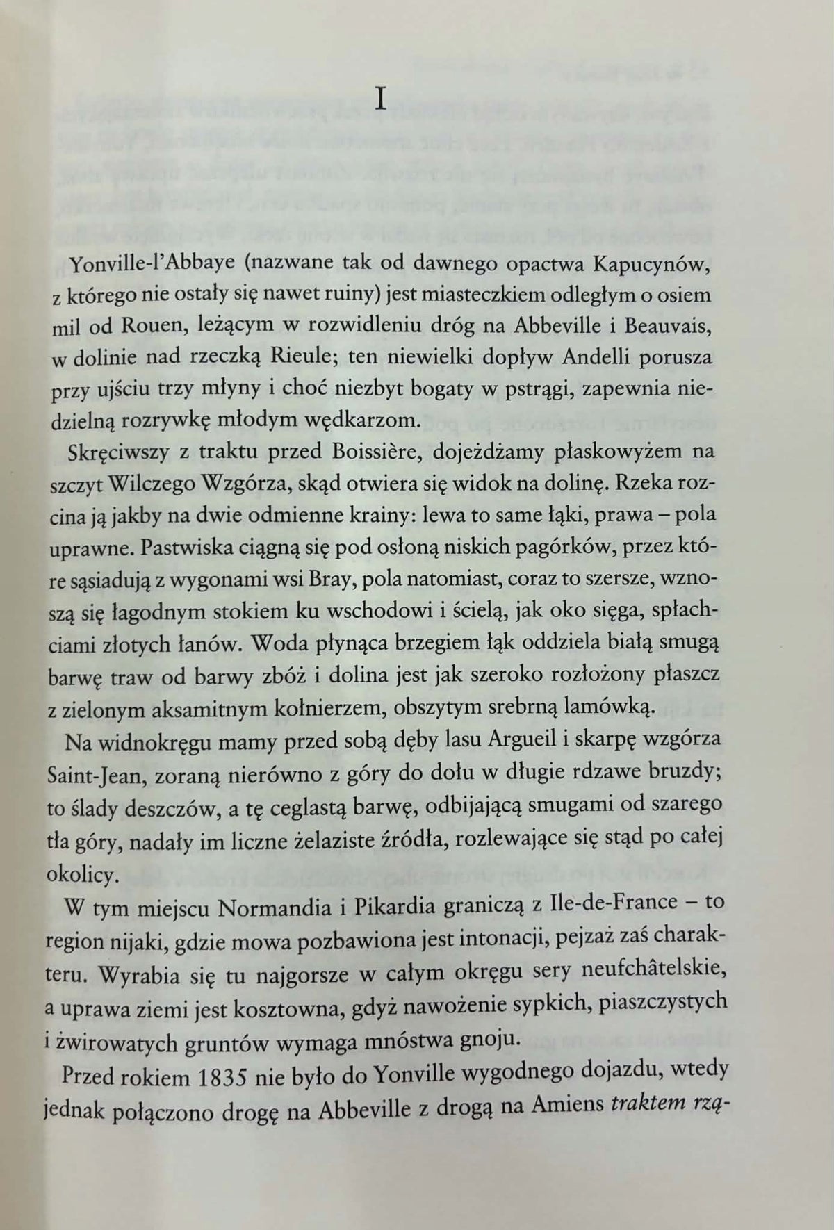 Flaubert Pani Bovary Z obyczajów prowincji