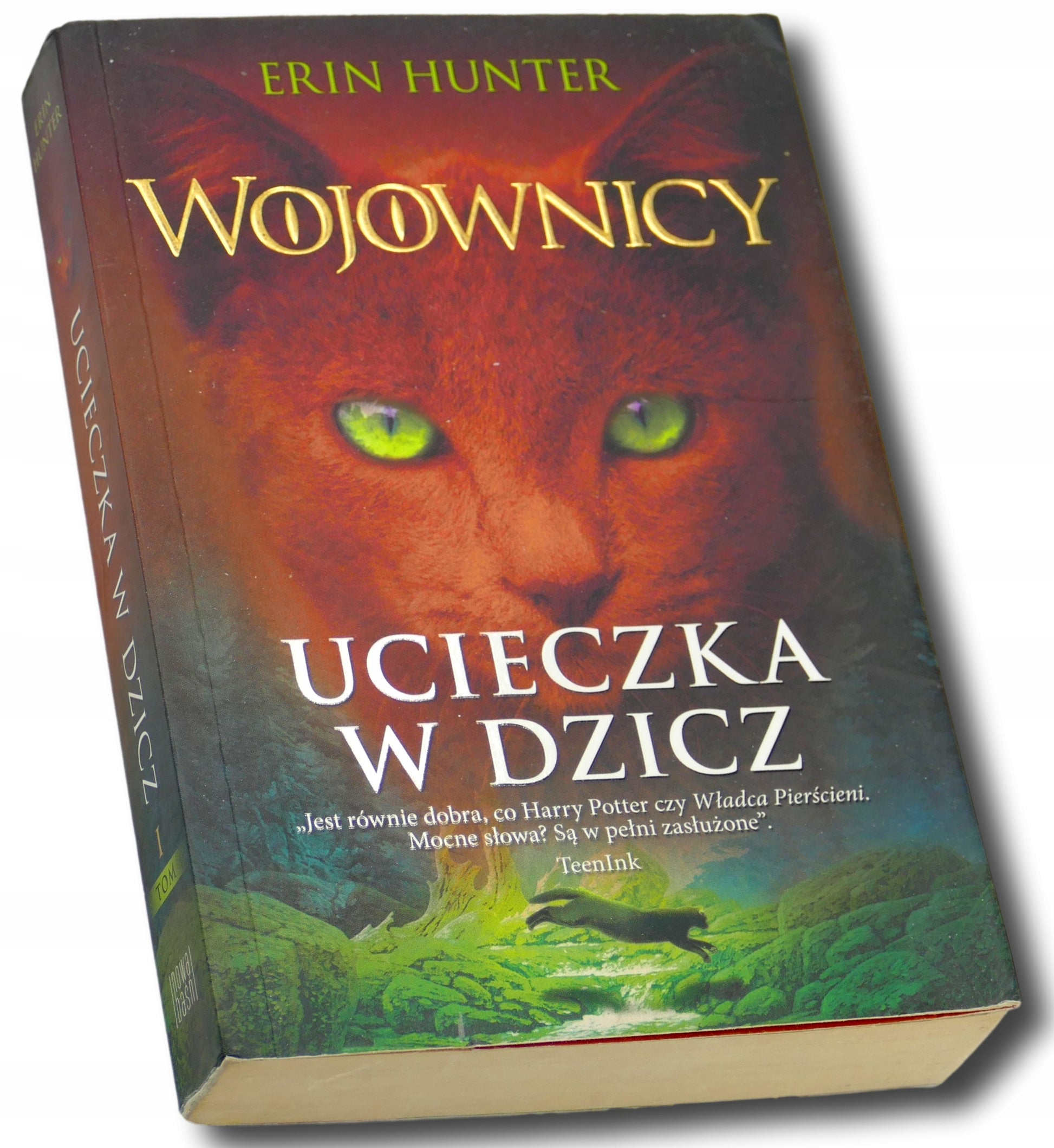 Erin Hunter, Wojownicy, Tom I, Ucieczka w dzicz
