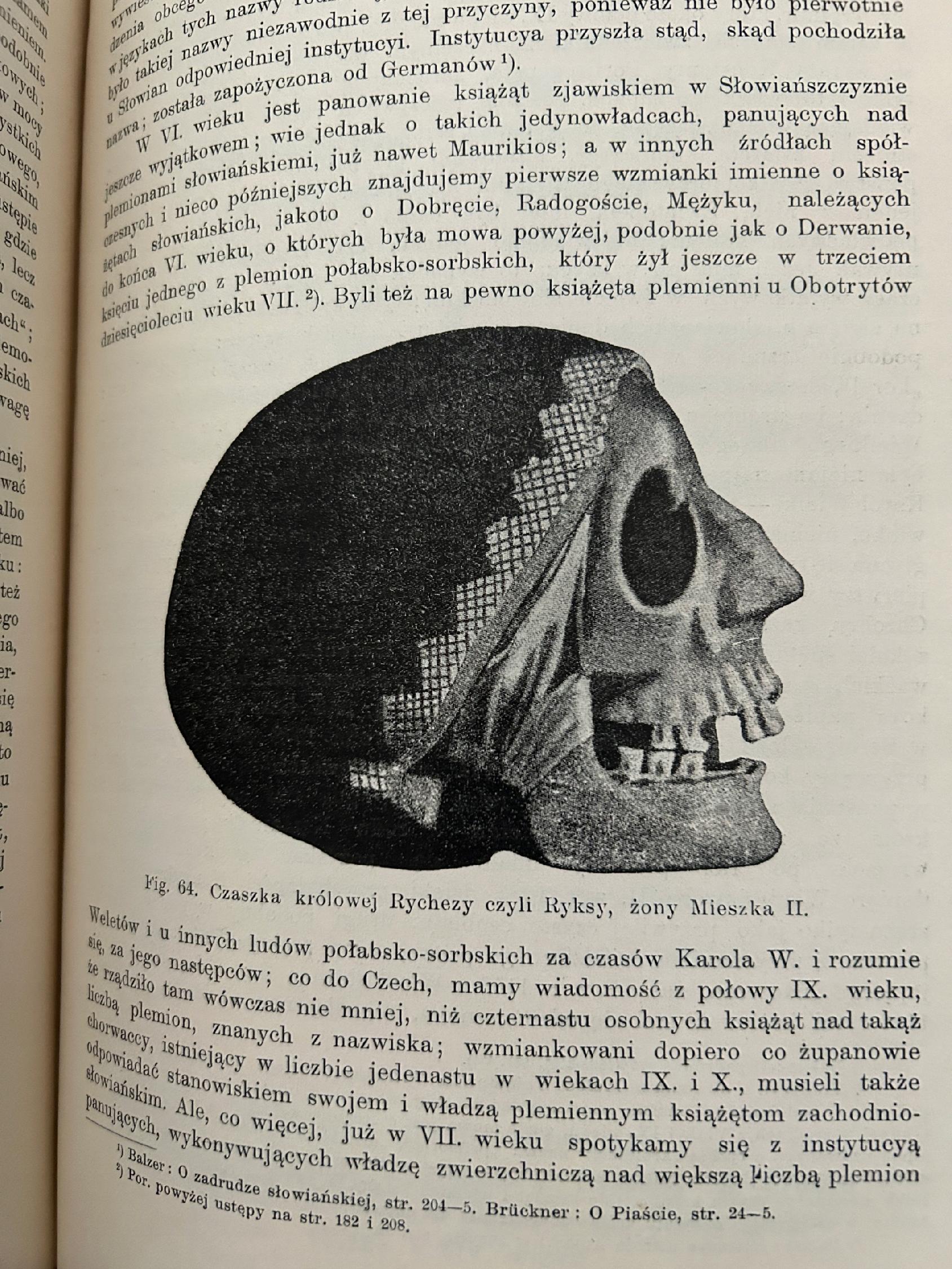 Ilustrowane dzieje Polski Tom I od początków do X wieku [1905 r.]