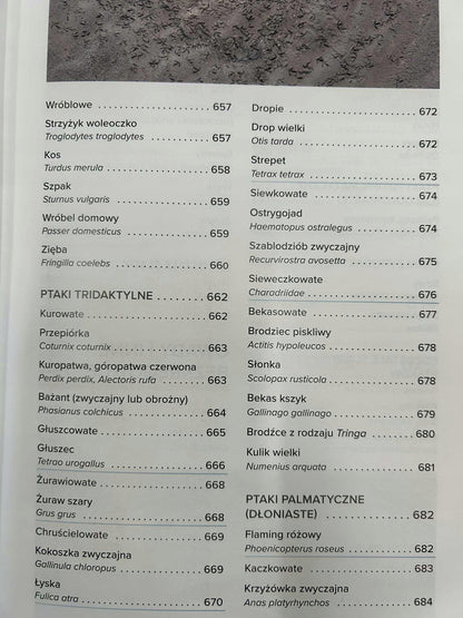 550dcbe733a6b7b290c690d4e8db028a