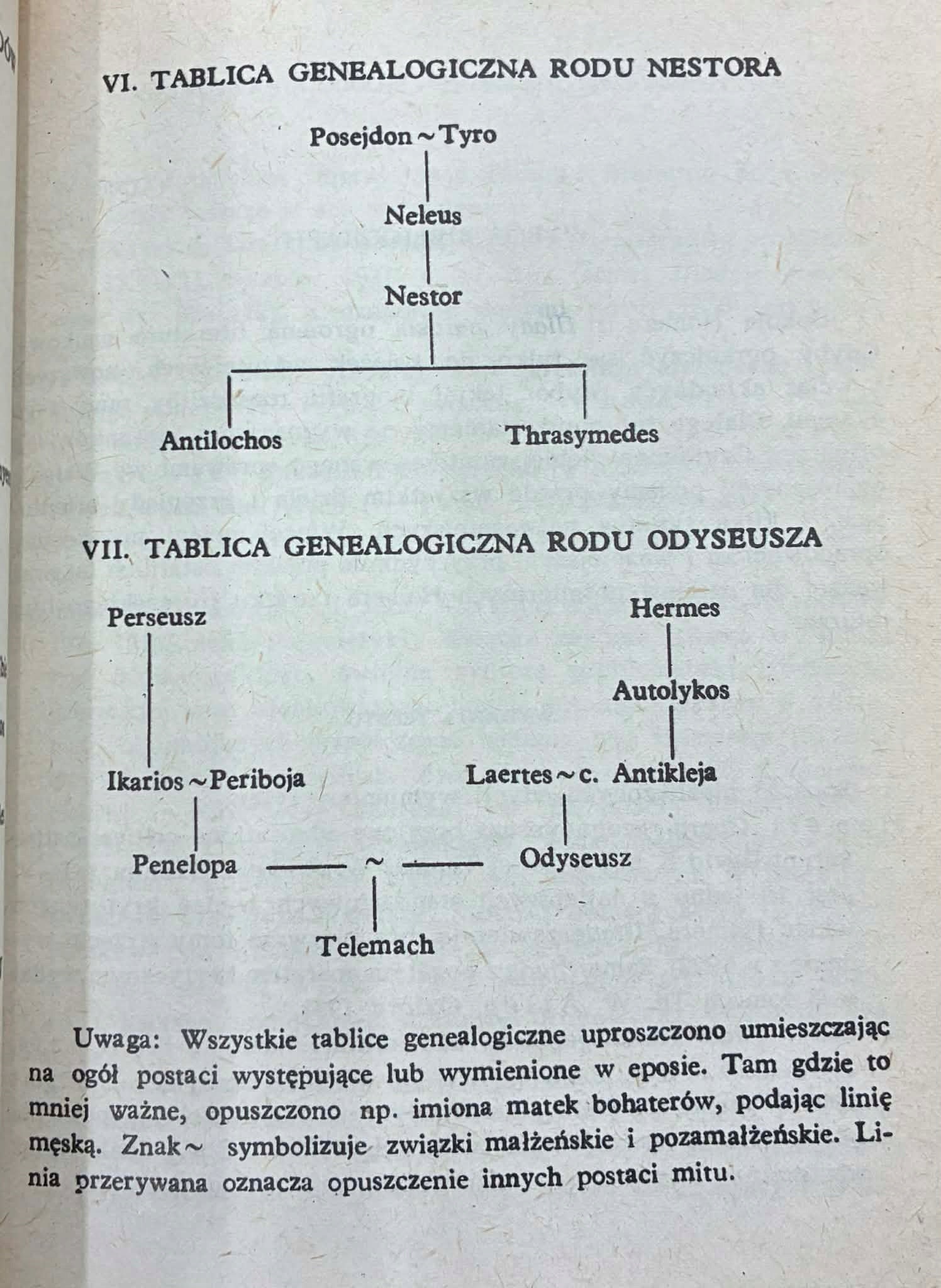 Homer Iliada [Biblioteka Narodowa]