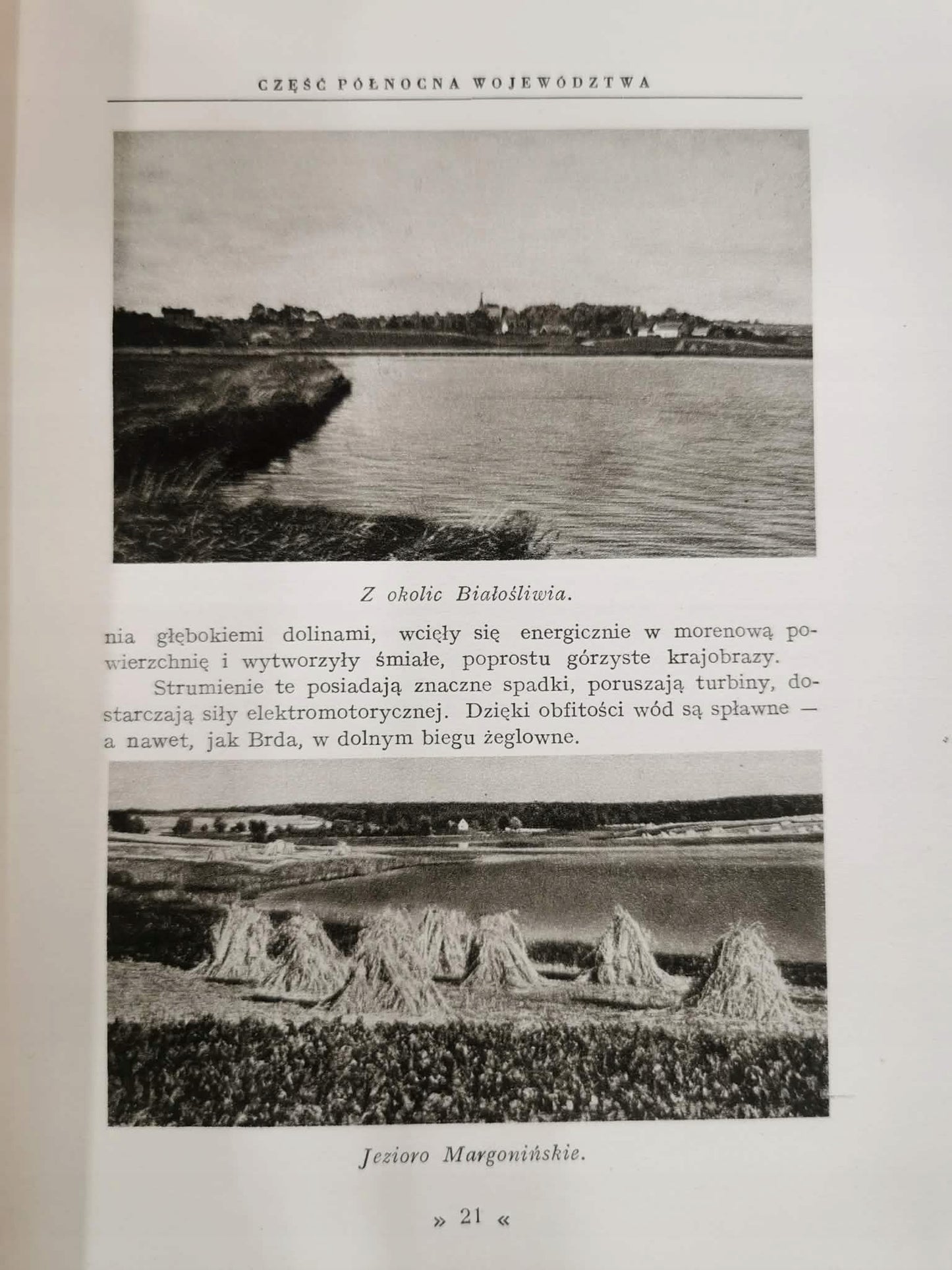 Cuda Polski. Wielkopolska, J. Smoleński [1930] [oryginalna obwoluta]
