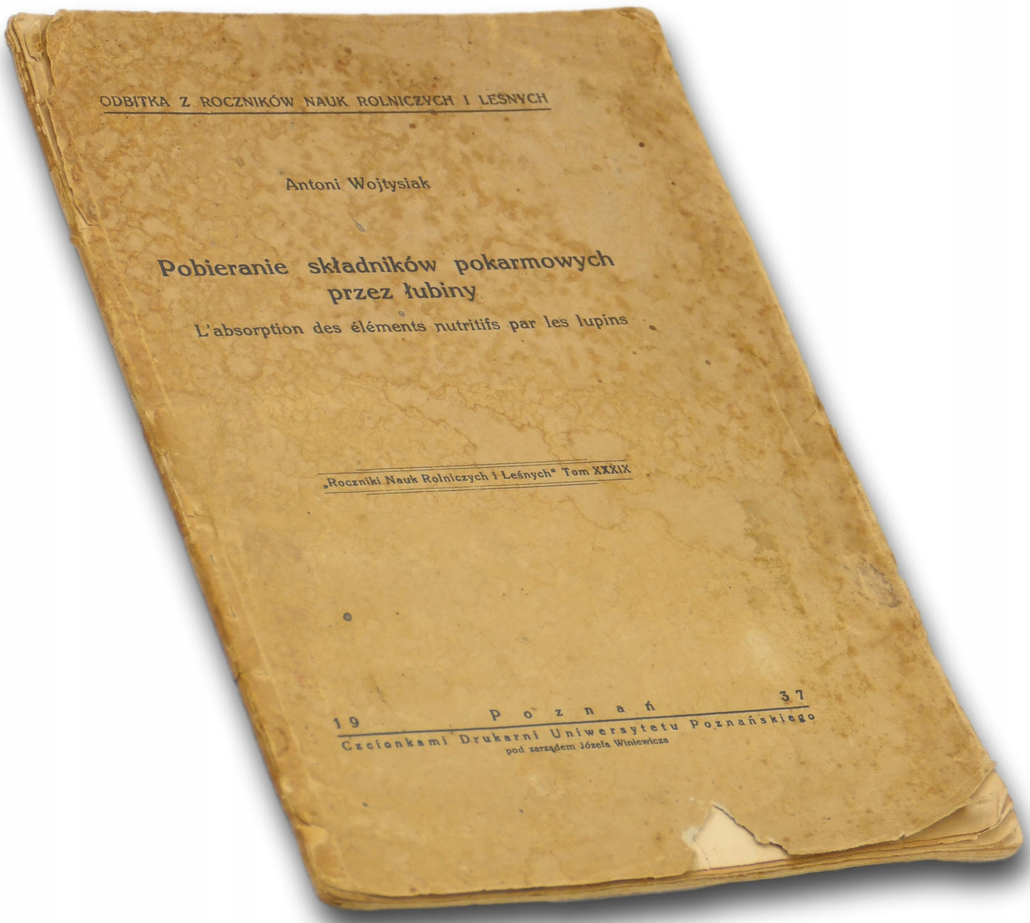 Pobieranie składników pokarmowych przez łubiny, Antoni Wojtysiak [1937]