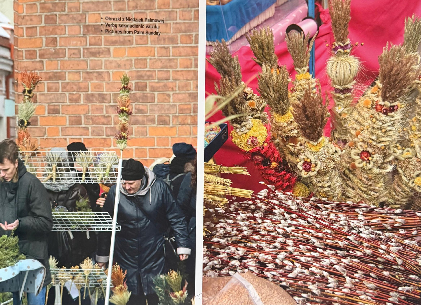 bb8a61f462418cd99850b29223eb8cc2