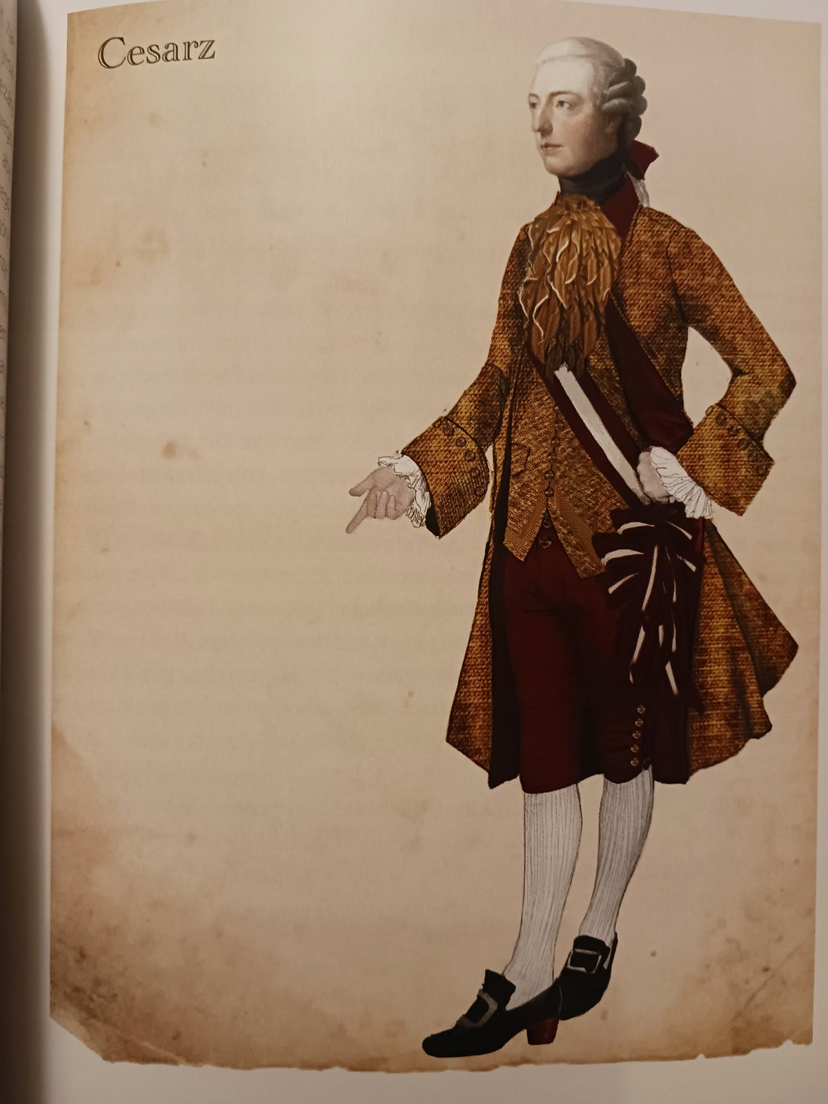 Amadeusz Peter Shaffer Teatr Dramatyczny m.st. Warszawy
