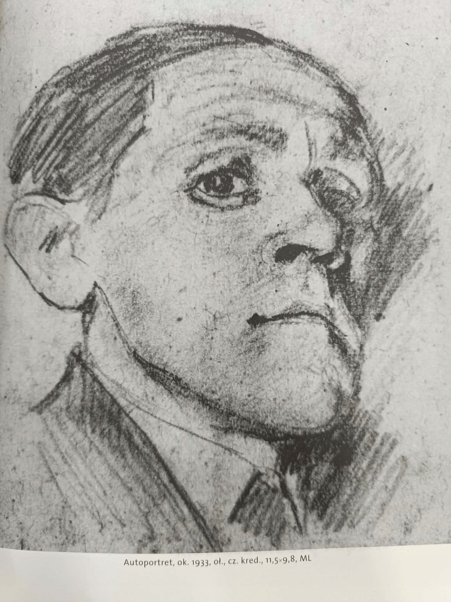 Księga obrazów, Bruno Schulz