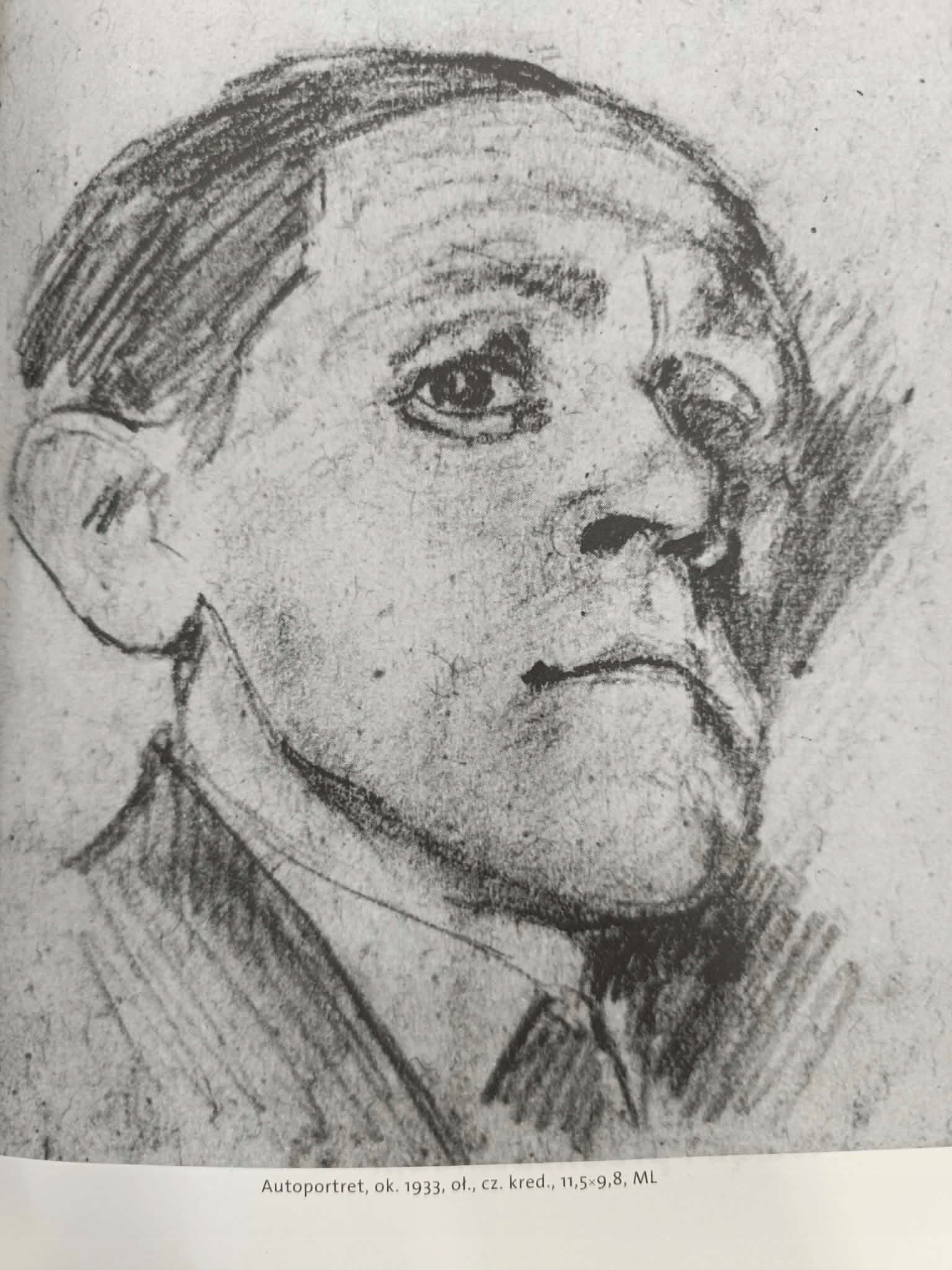 Księga obrazów, Bruno Schulz