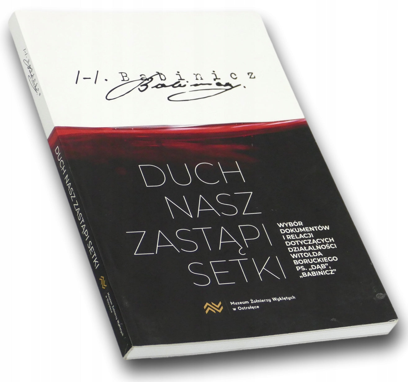 Duch nasz zastąpi setki Praca zbiorowa