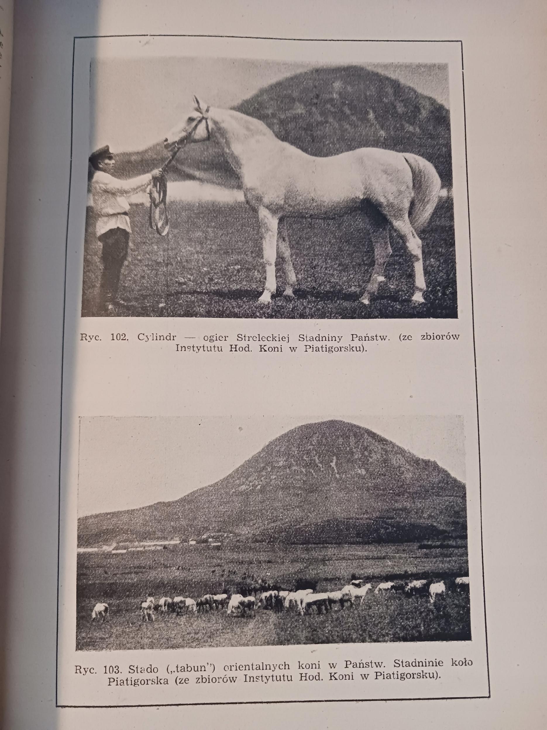 Hodowla koni Tomy I - II Roman Prawocheński [wydania z lat 1947, 1948]