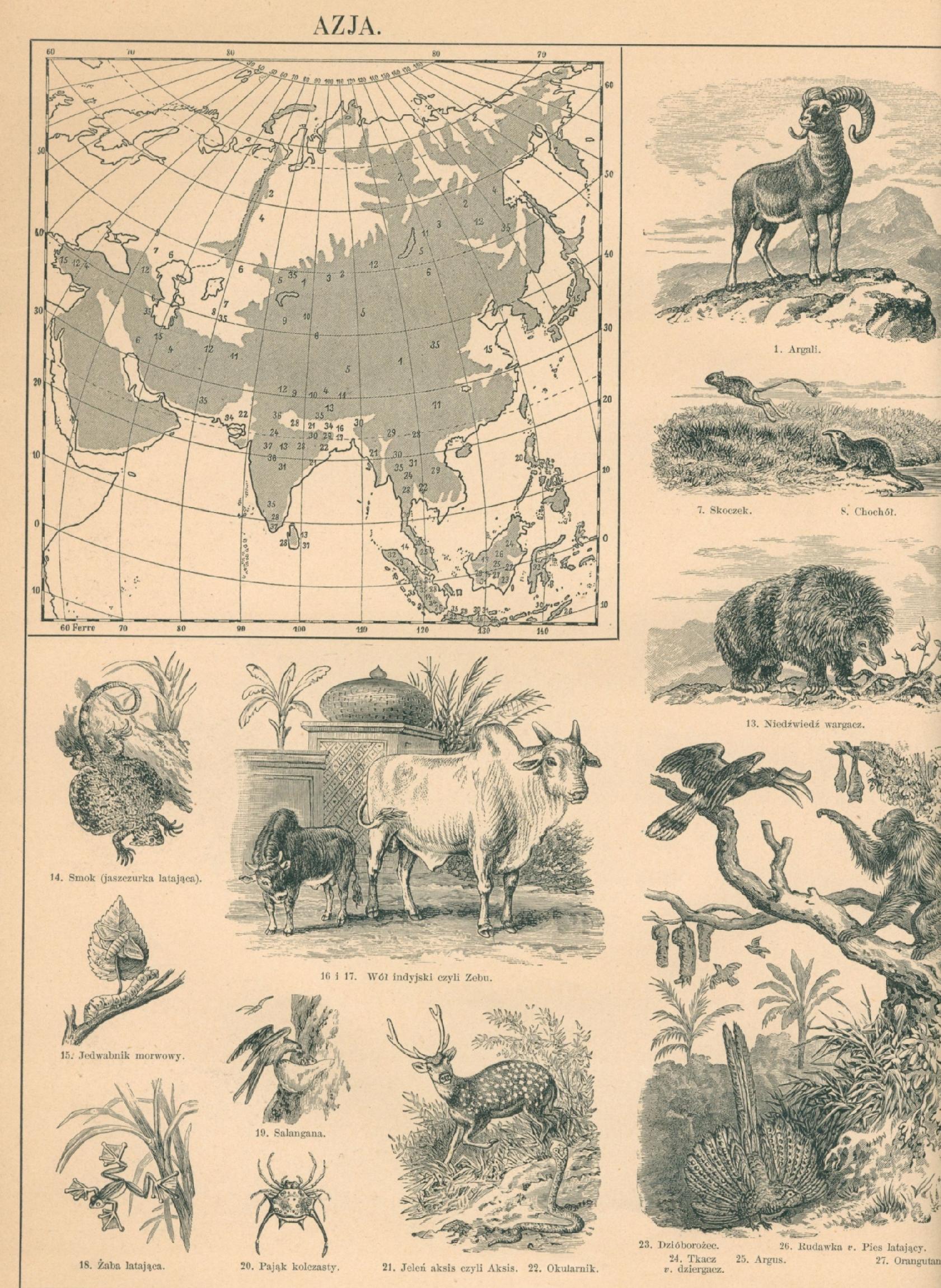 Schneider Oskar, Atlas przyrodniczo-geograficzny zawierający typy...