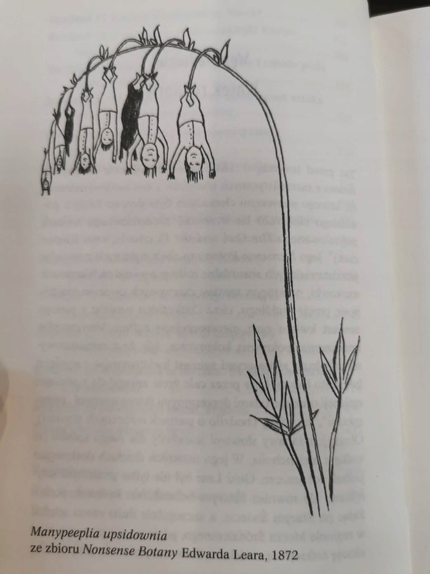 Roślinny kabaret Botanika i wyobraźnia, Richard Mabey