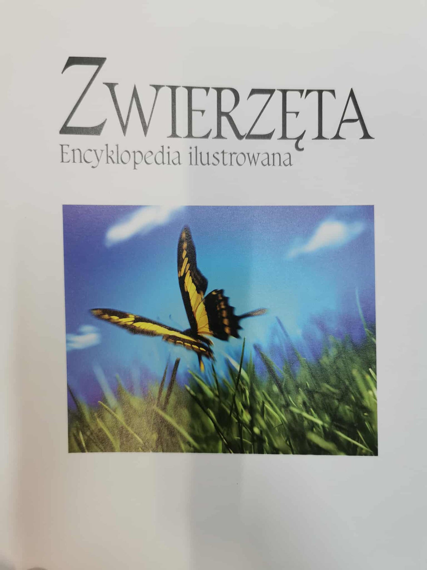Zwierzęta. Encyklopedia ilustrowana, Praca zbiorowa