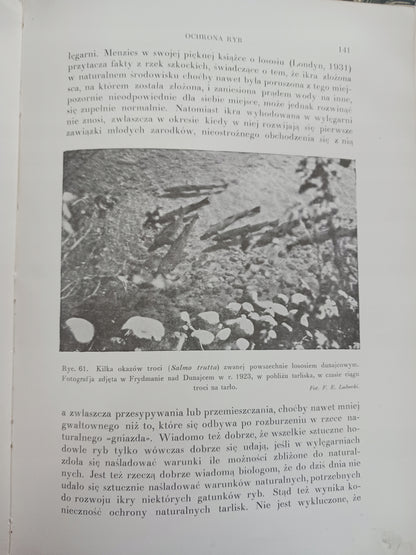 e51a6213472cfa5e9cbba8a218343edc