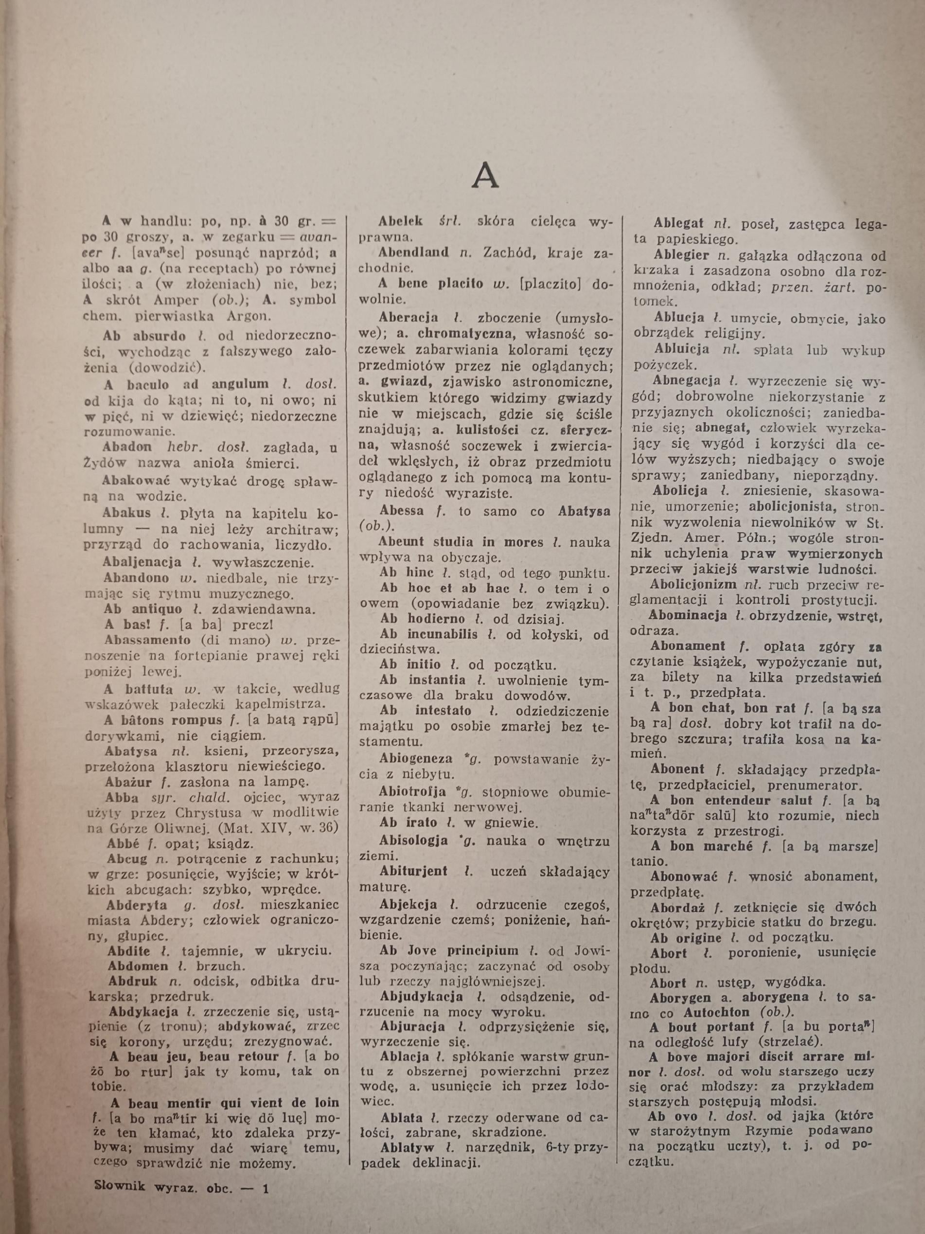 Słownik wyrazów obcych M. Arcta [Warszawa 1933]