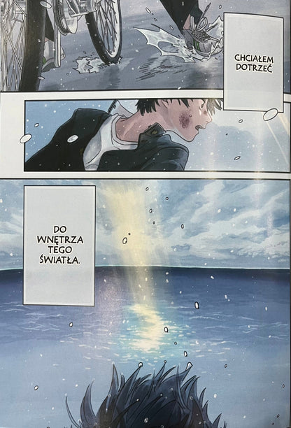 Zestaw 2 książek Makoto Shinkai, Wataru Kubota Dziecię słońca i deszczu