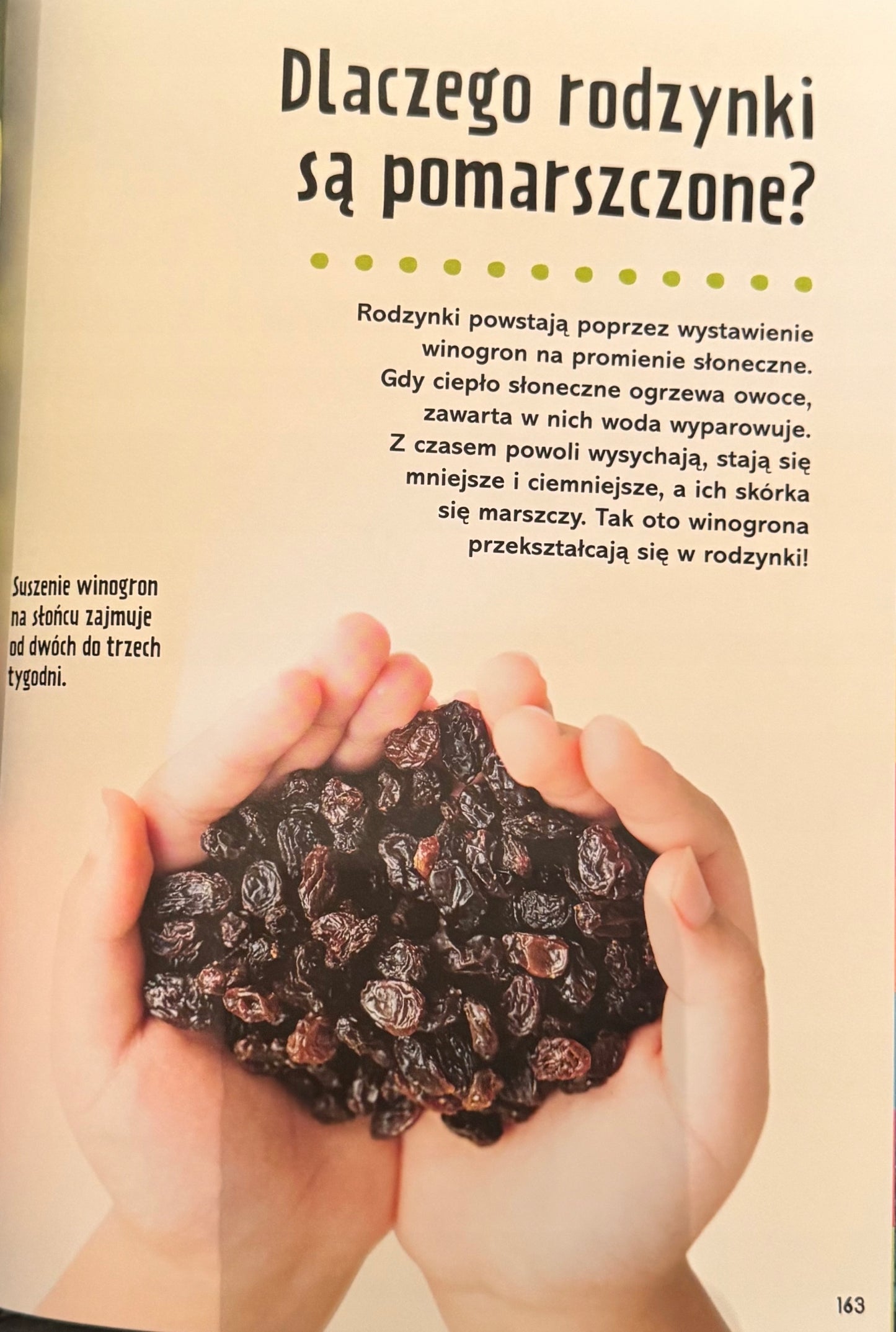 Britannica Wielka księga pytań dlaczego? Sally Symes