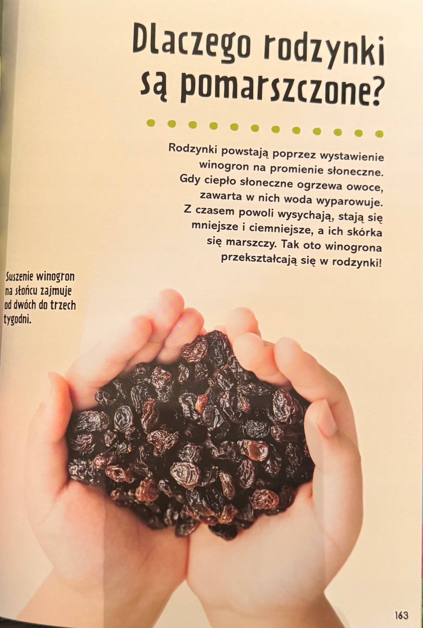 Britannica Wielka księga pytań dlaczego? Sally Symes