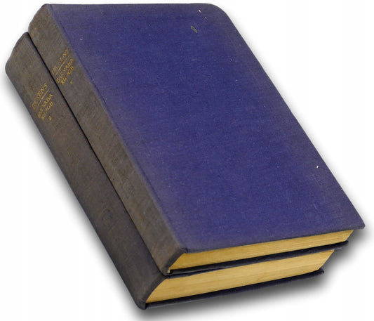 Barnaba Rudge. Opowieść o rozruchach z roku 1780 Tom 1 i 2 Karol Dickens