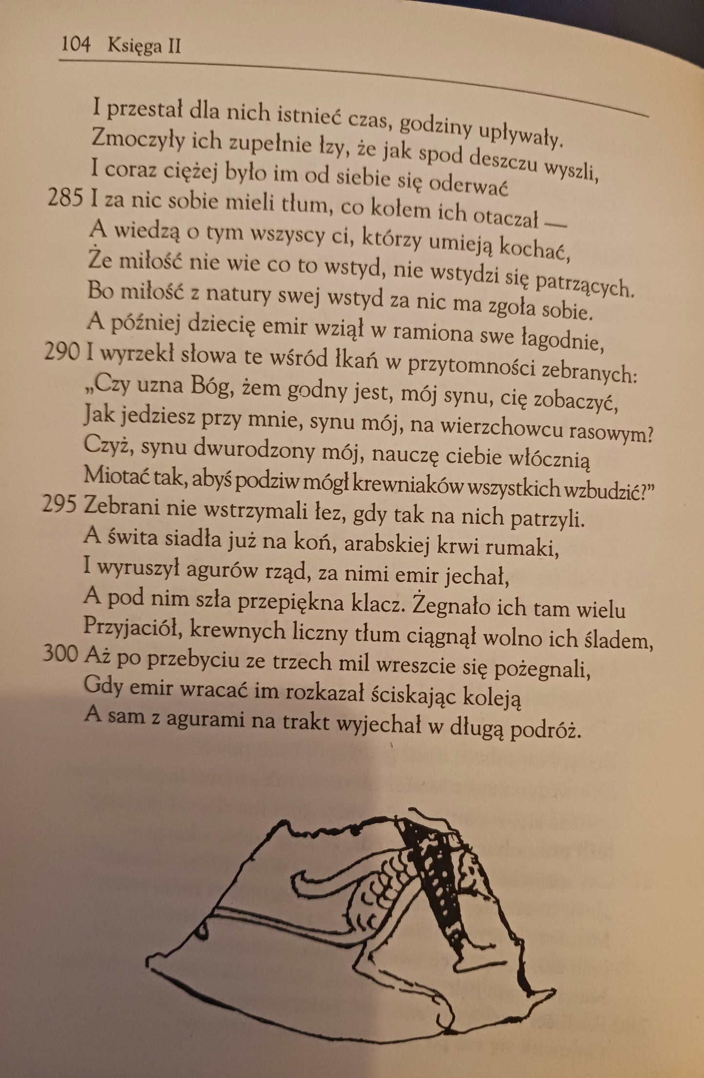 Opowieść z kresów bizantyjskich Dijenis Akritas