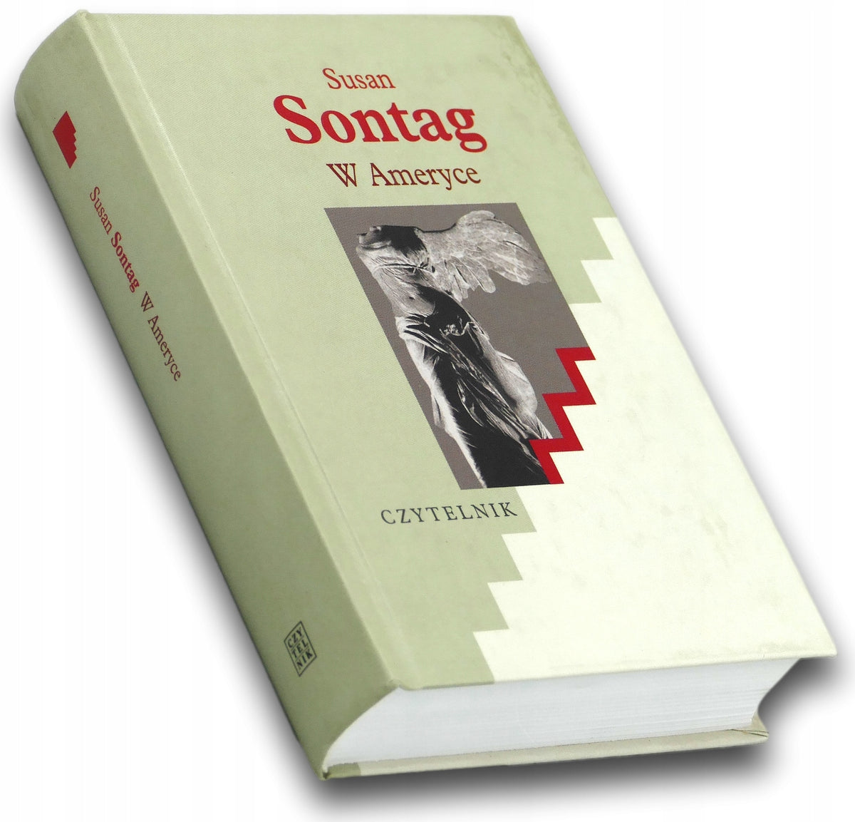 W Ameryce Susan Sontag
