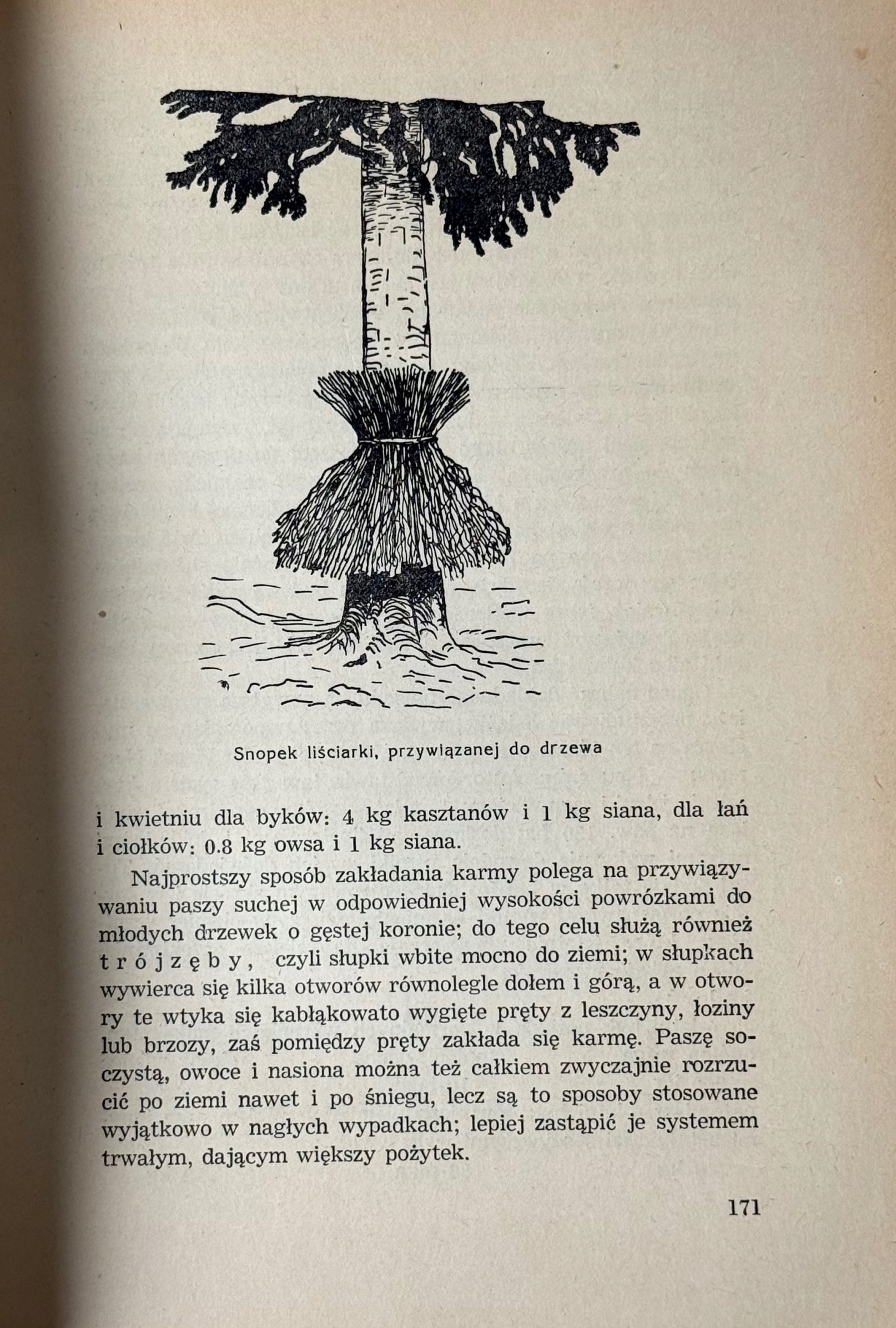 Łowiectwo Podręcznik dla leśników i myśliwych Wiesław Krawczyński [1947]